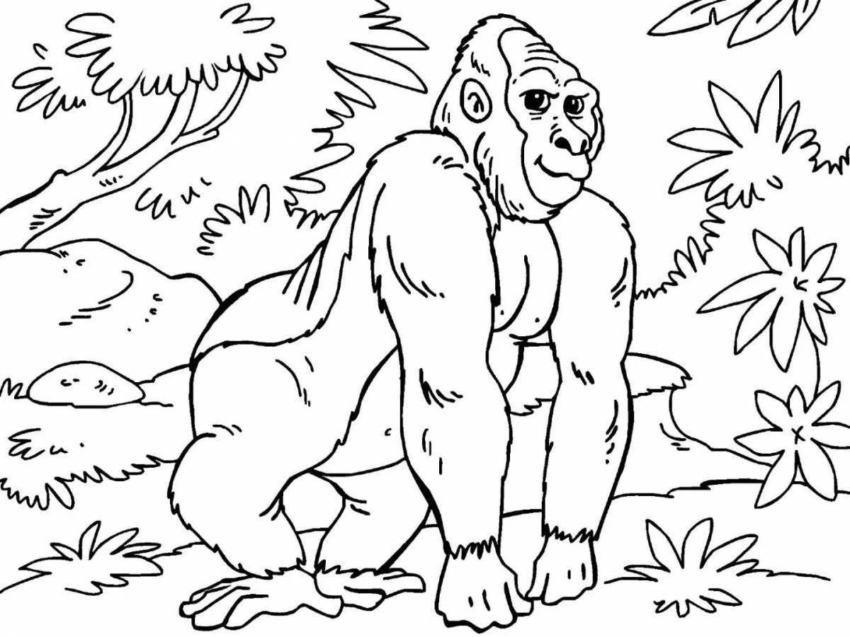 Witty coloring pages animals of hot countries for children 6-7 years old