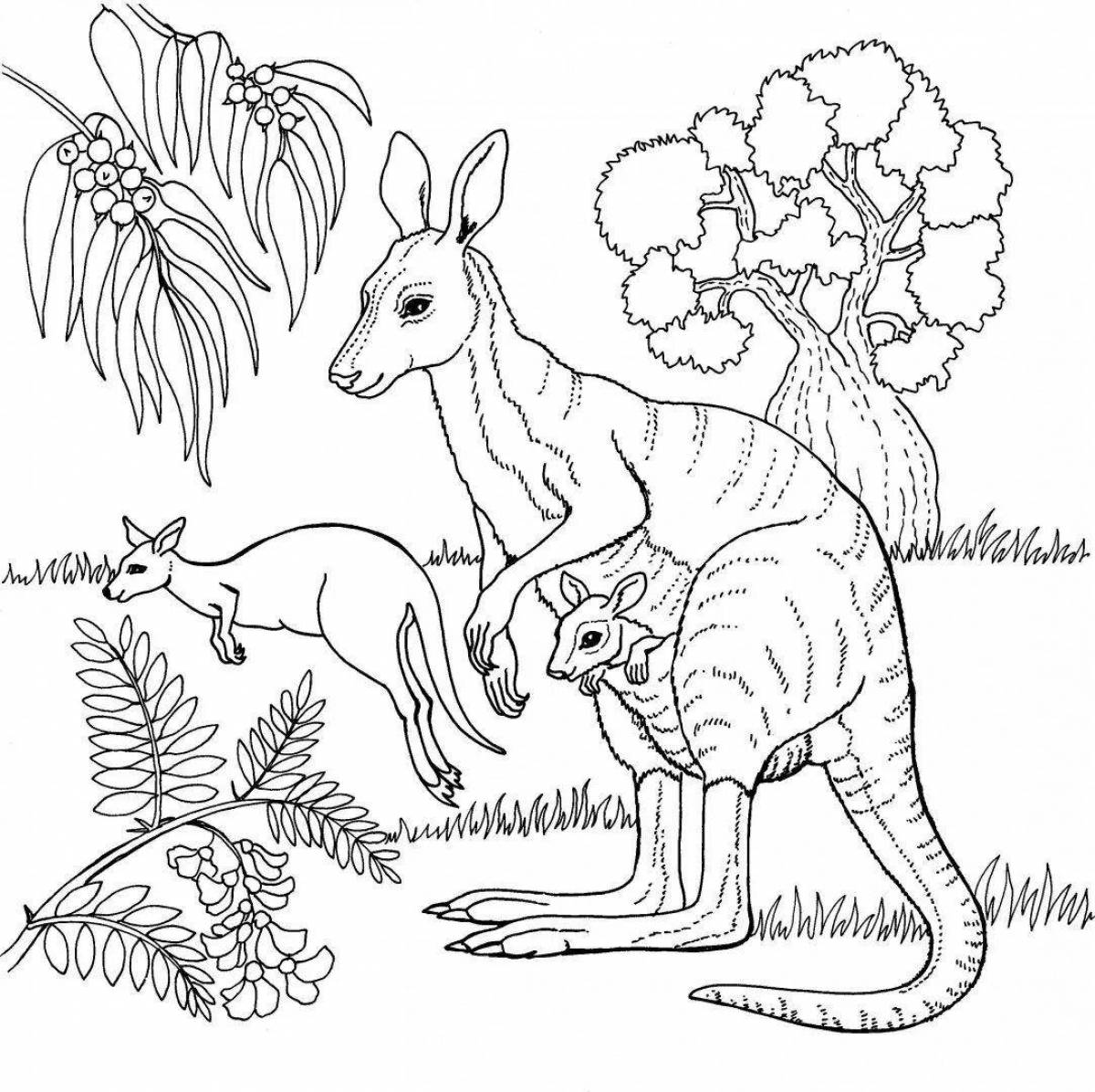Coloring pages animals of hot countries for children 6-7 years old