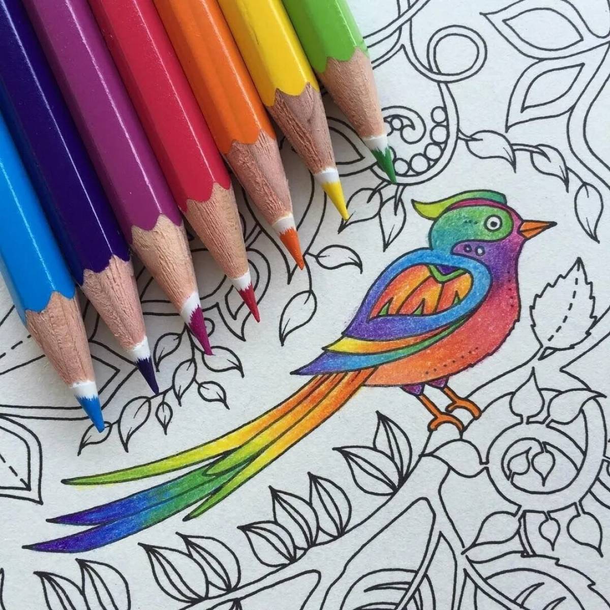 Coloring hypnotic anti-stress pencils