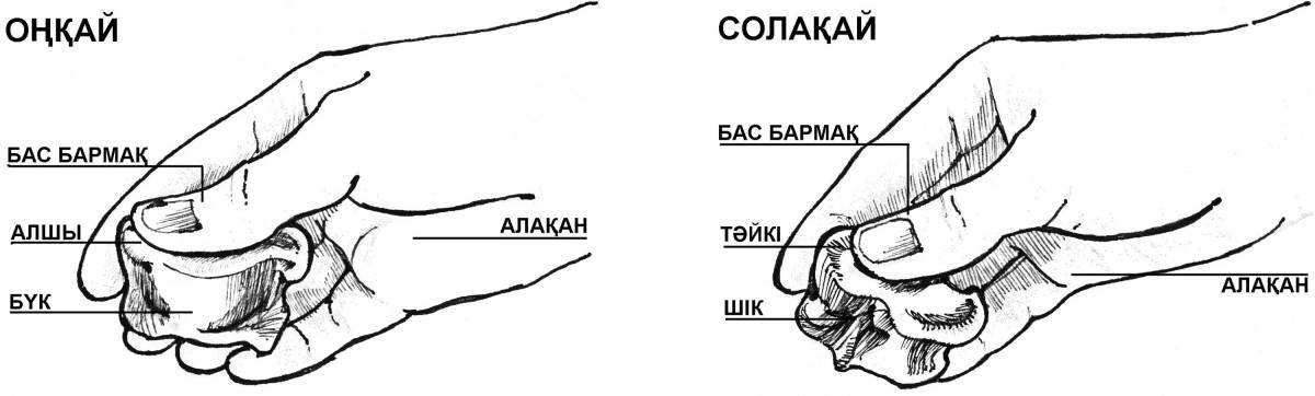 Буйная асык раскраска для малышей