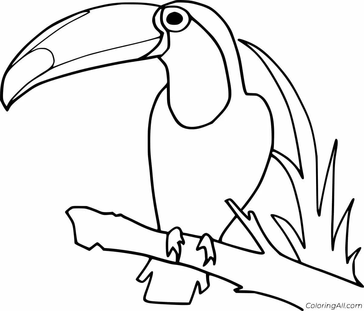 Colorful toucan coloring book for kids