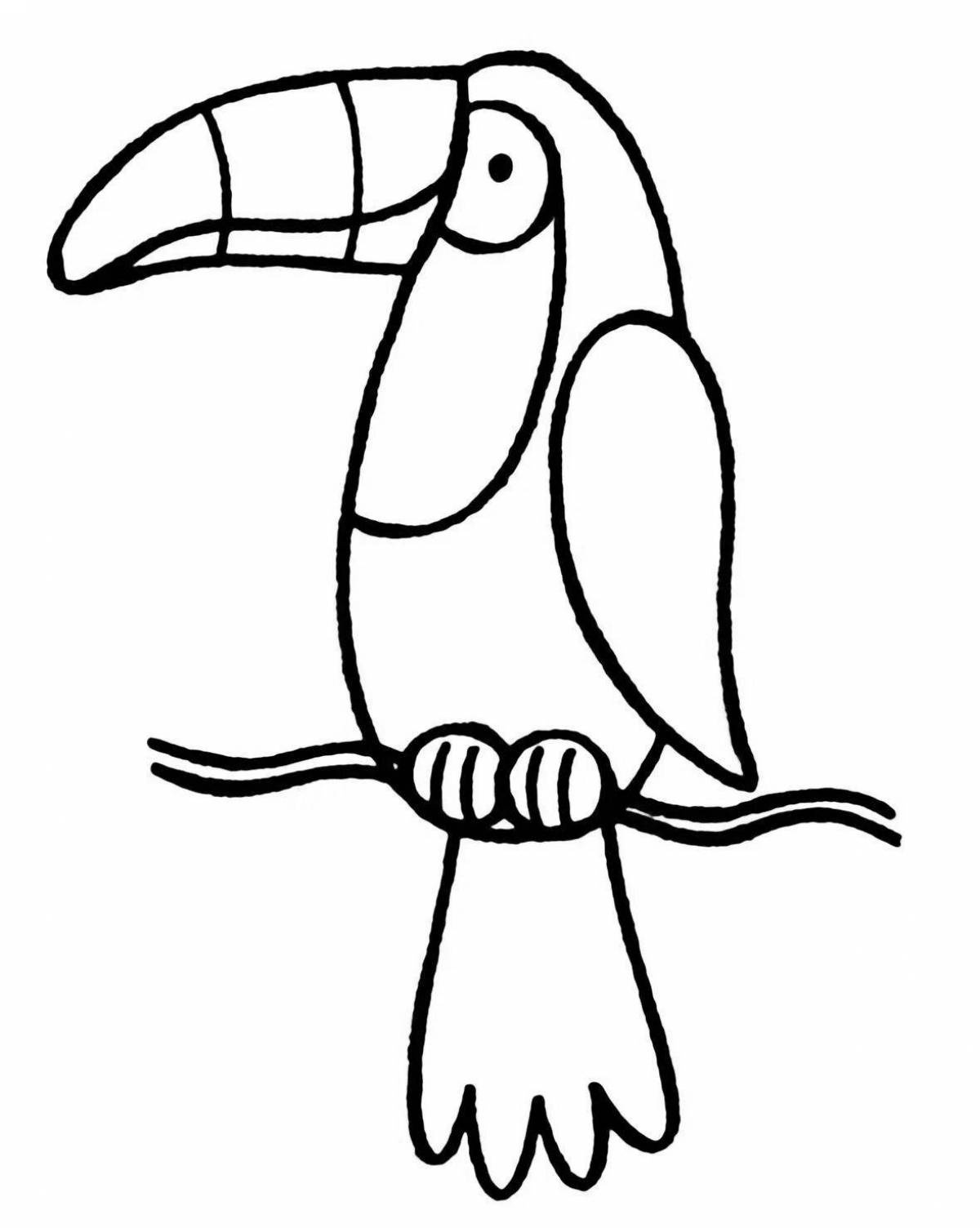 Children's toucan coloring pages