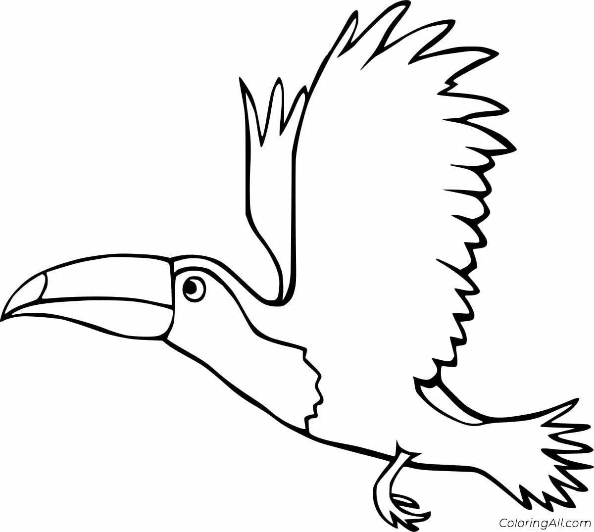 Joyful toucan coloring book for kids