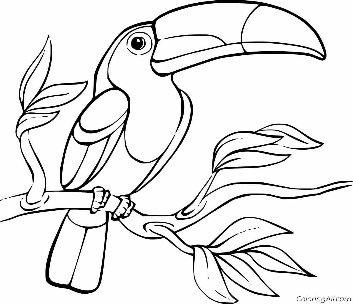 A fun toucan coloring book for kids