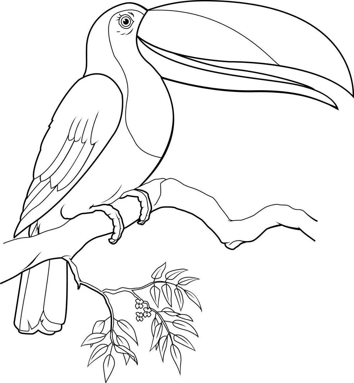 Cute toucan coloring pages for kids