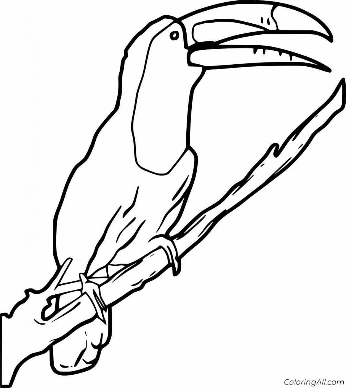 Adorable toucan coloring book for kids