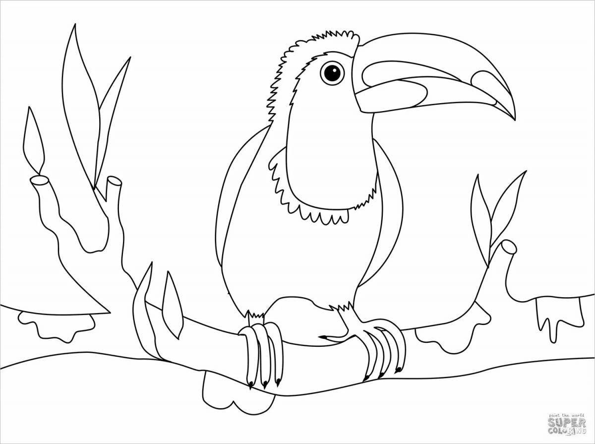 A wonderful toucan coloring book for kids