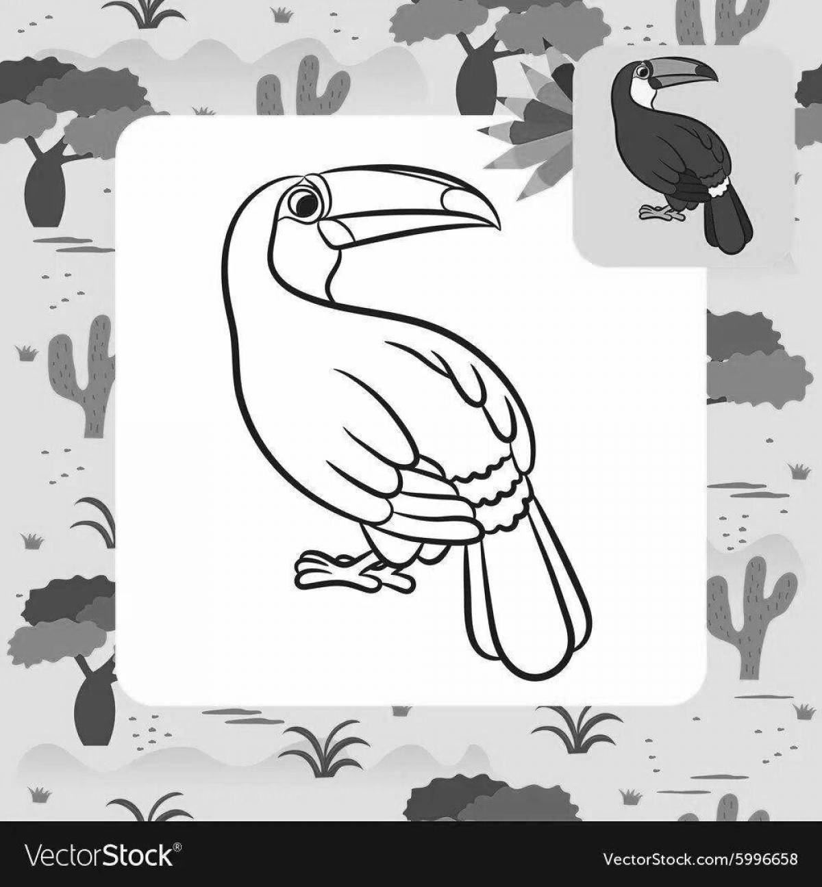 Amazing toucan coloring book for kids