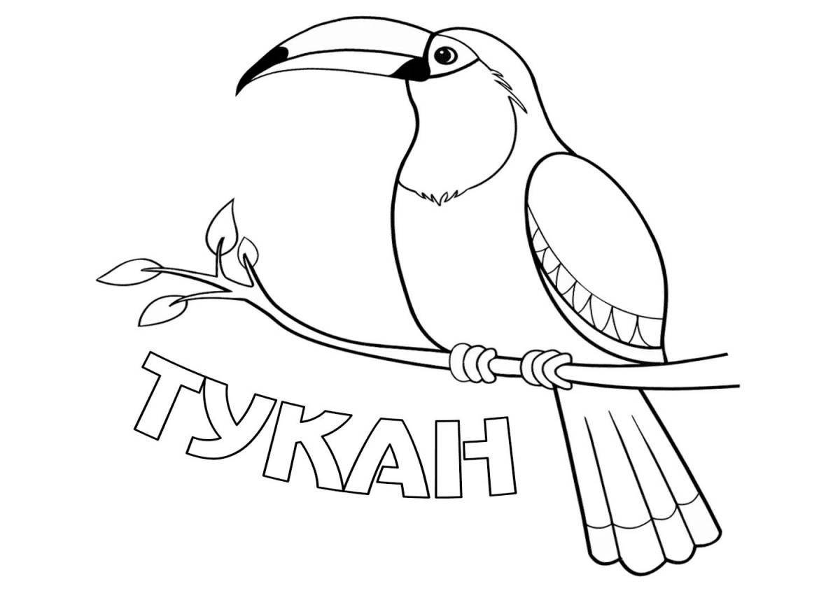 Exquisite toucan coloring book for kids