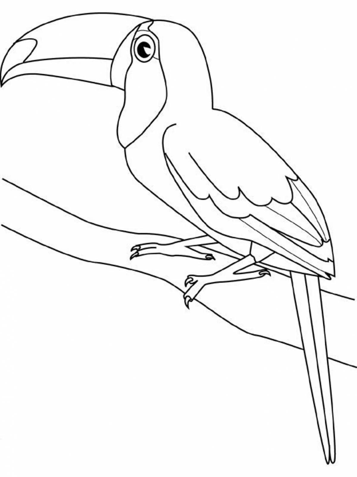 Glitter toucan coloring book for kids