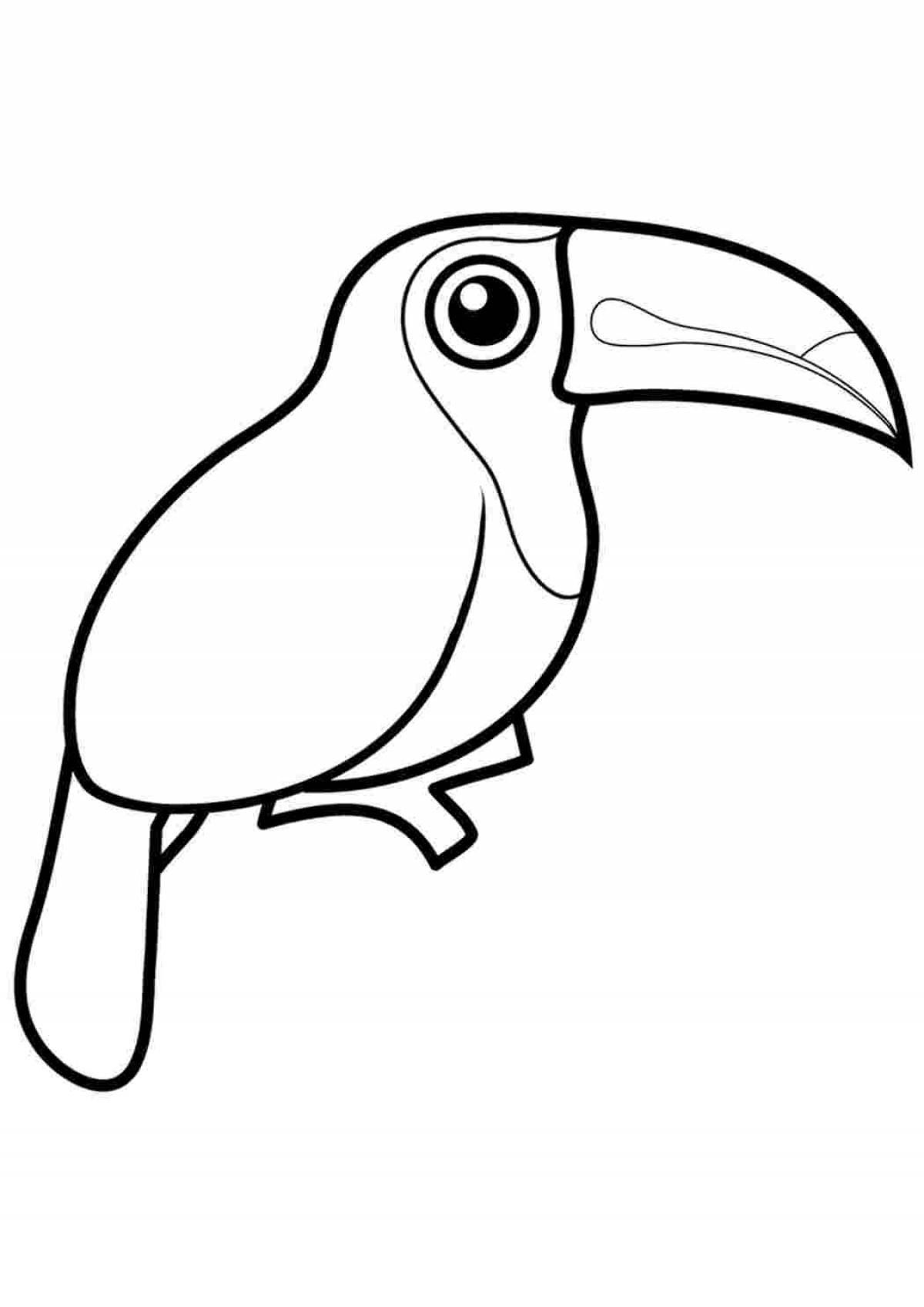 Dazzling toucan coloring book for kids