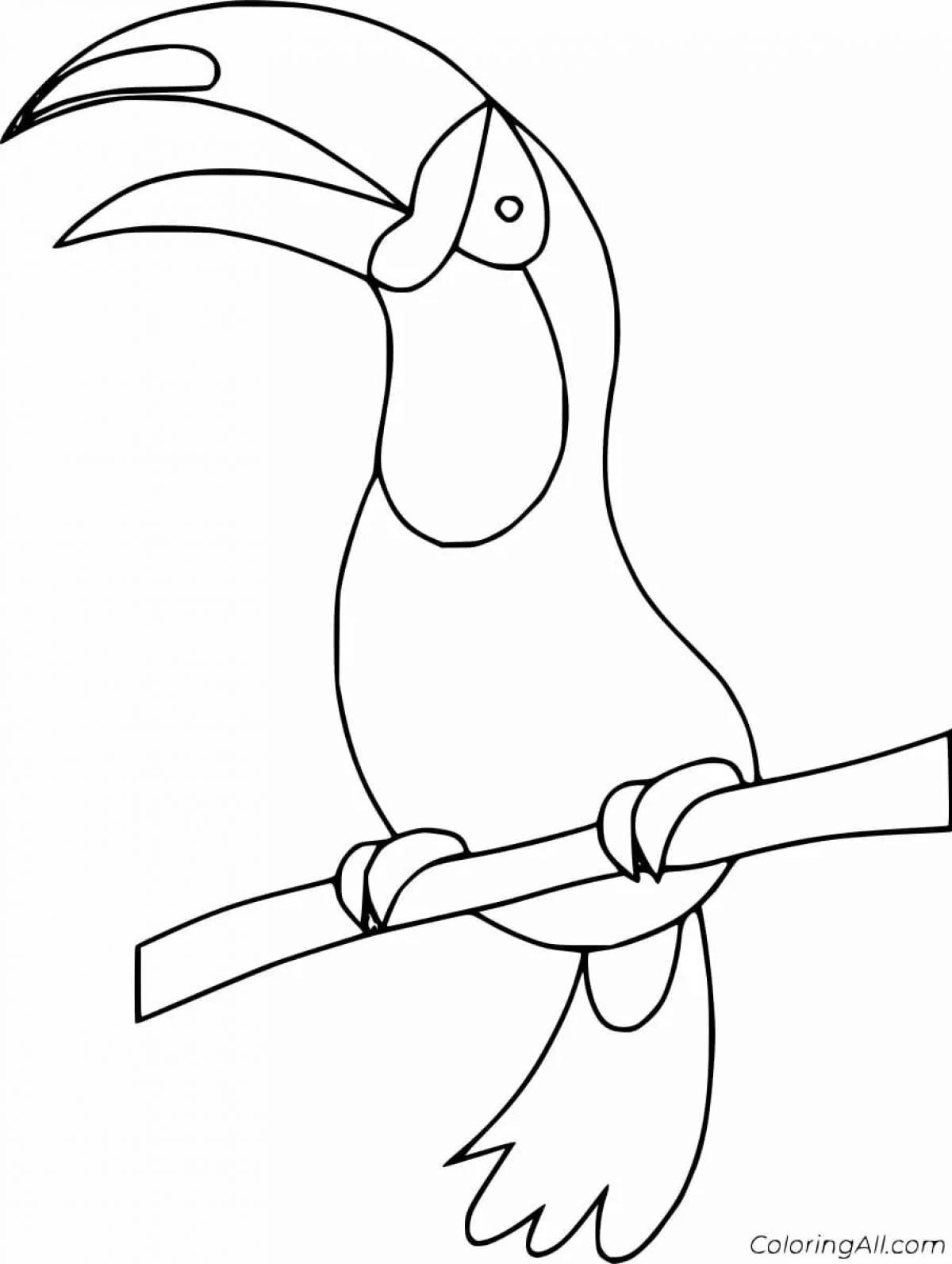 Unique toucan coloring book for kids