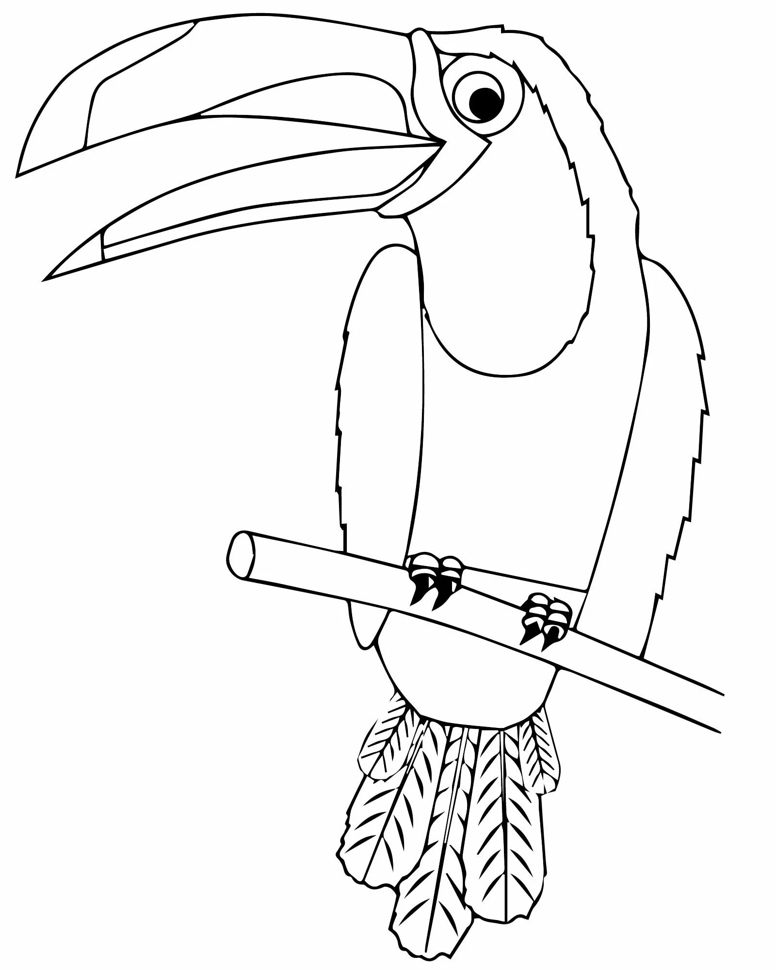 Fancy toucan coloring book for kids