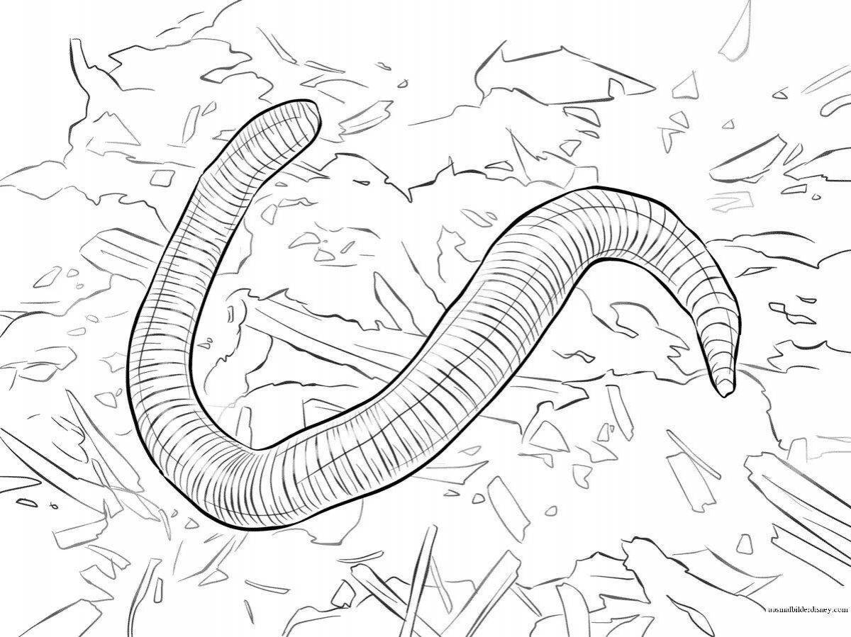 Coloring worms for kids