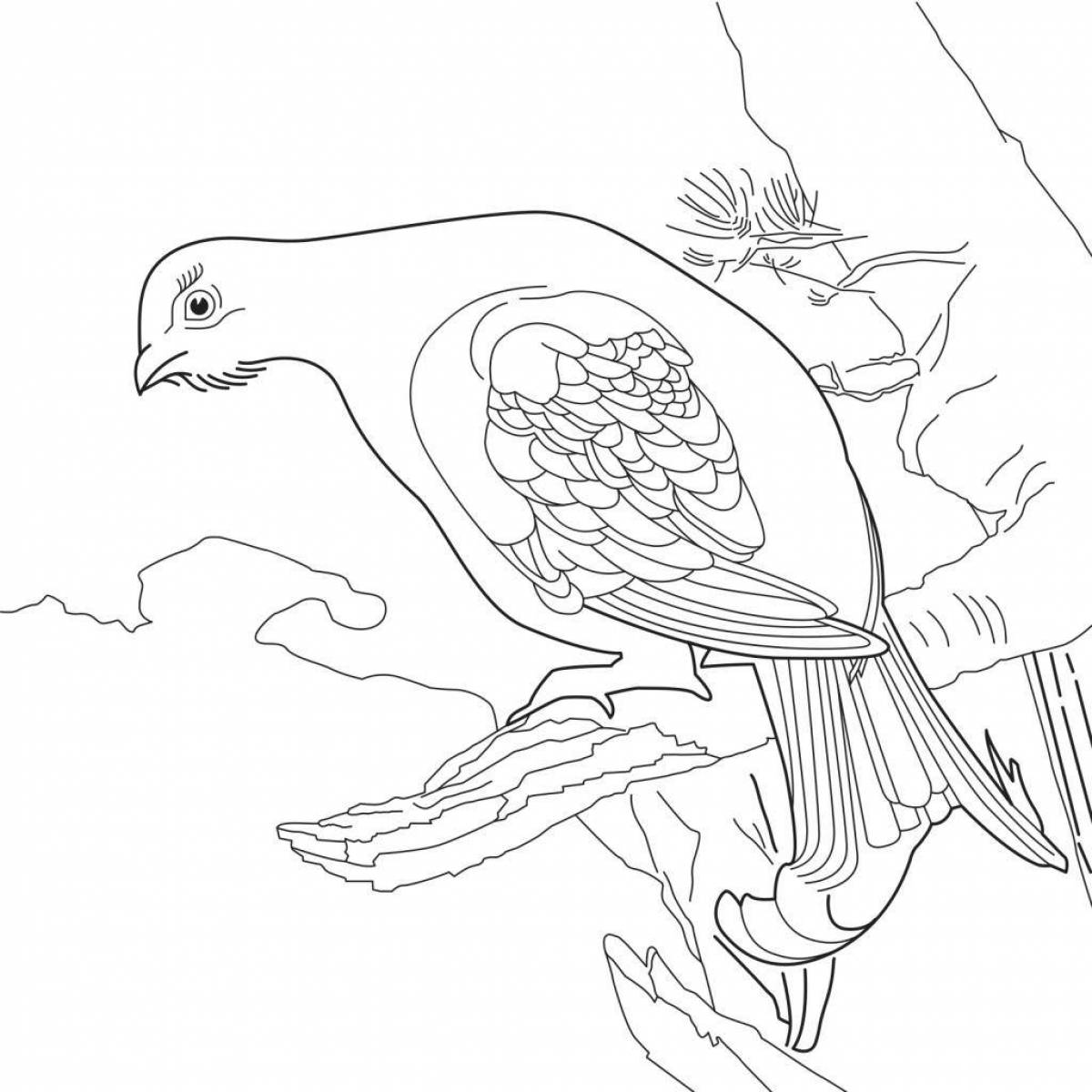 Colorful grouse coloring page for kids
