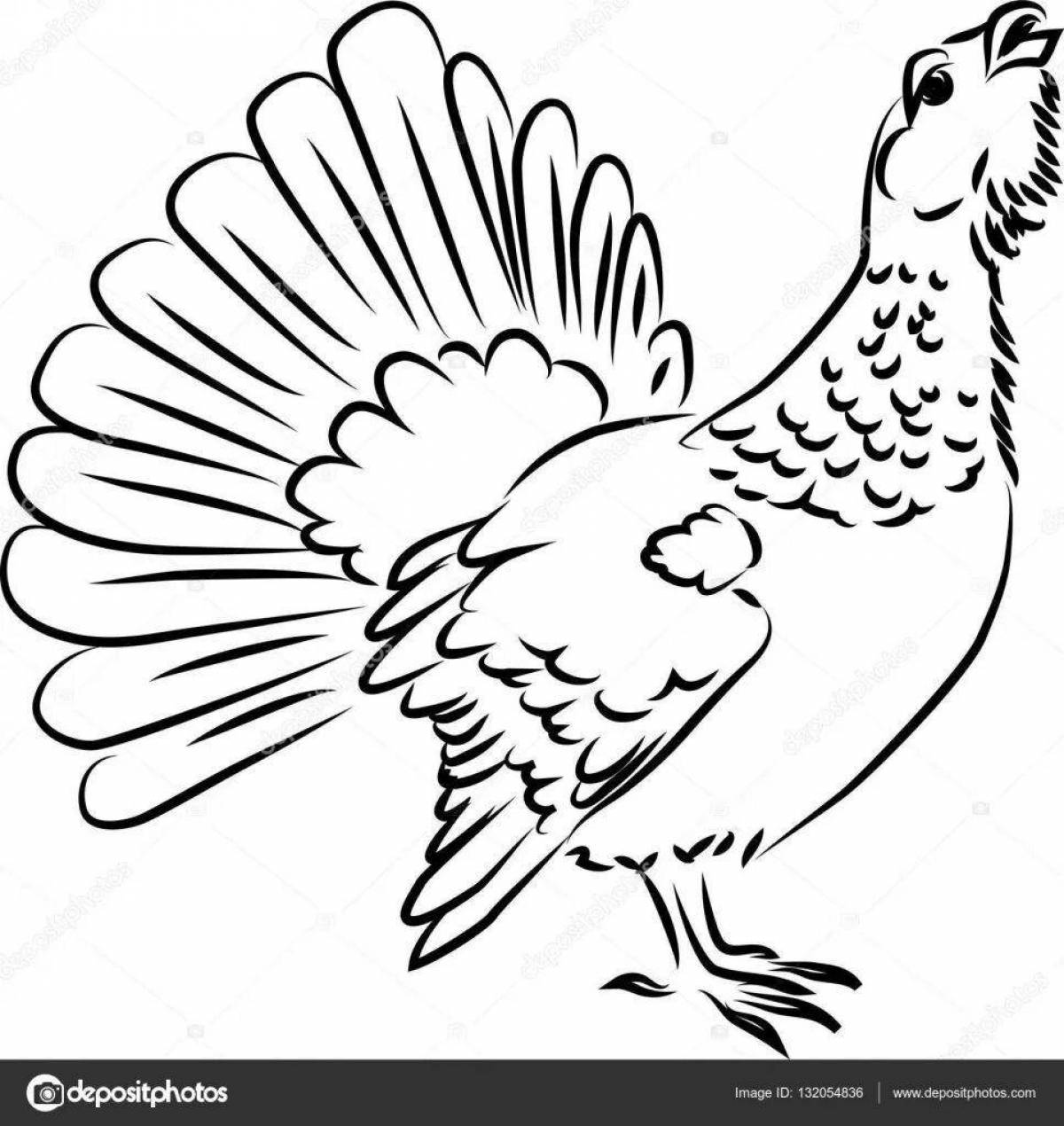 Playful black grouse coloring page for kids