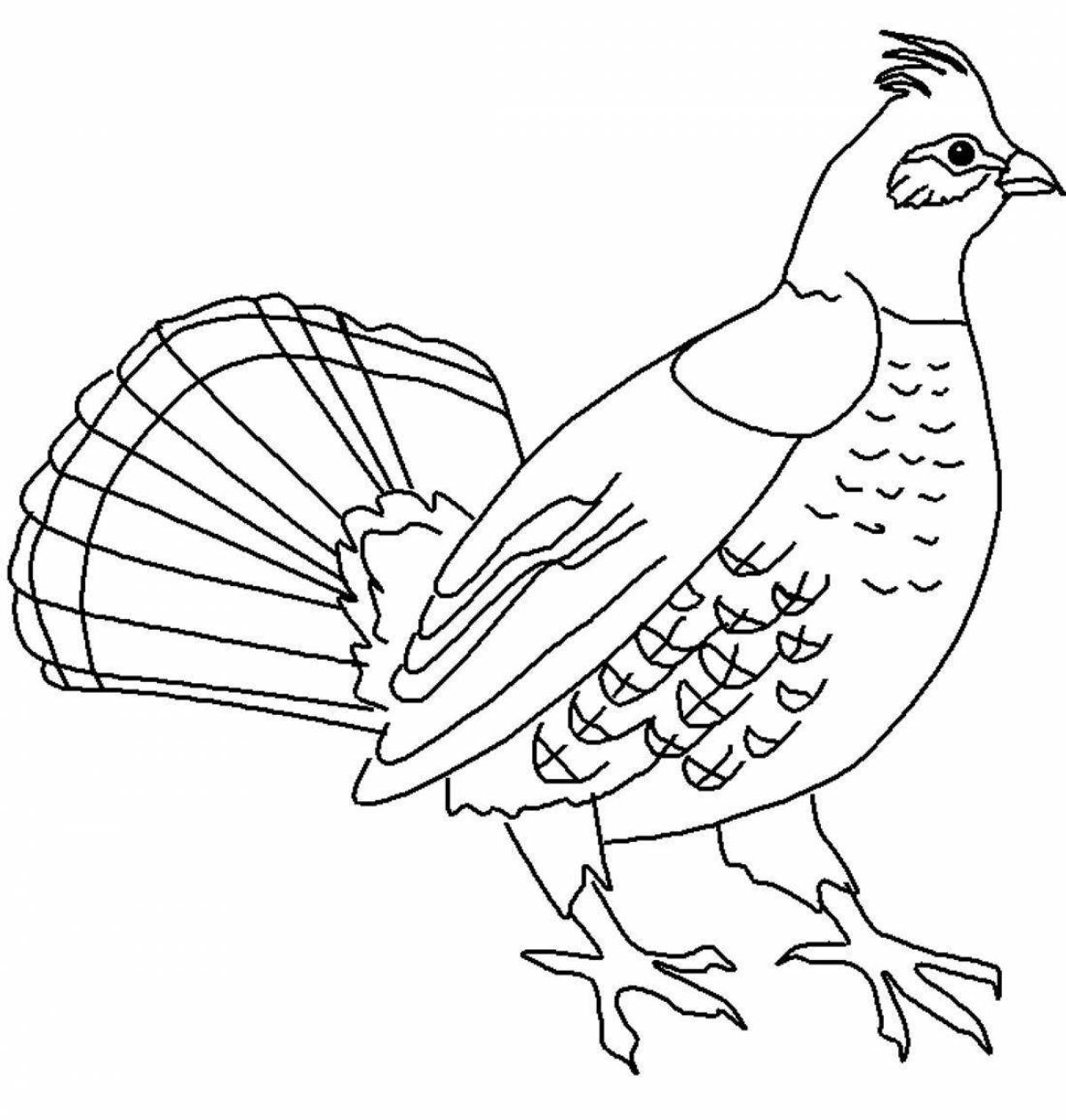 Fun coloring book for kids with black grouse