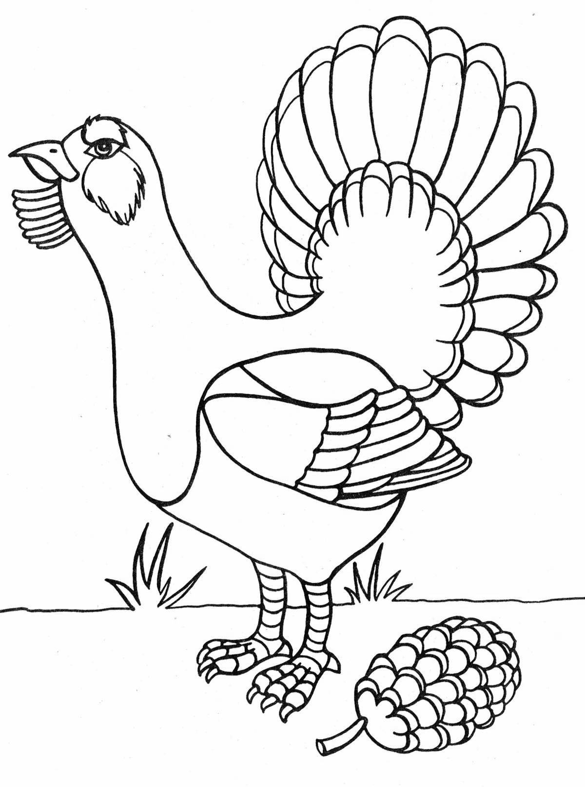 Attractive black grouse coloring pages for kids