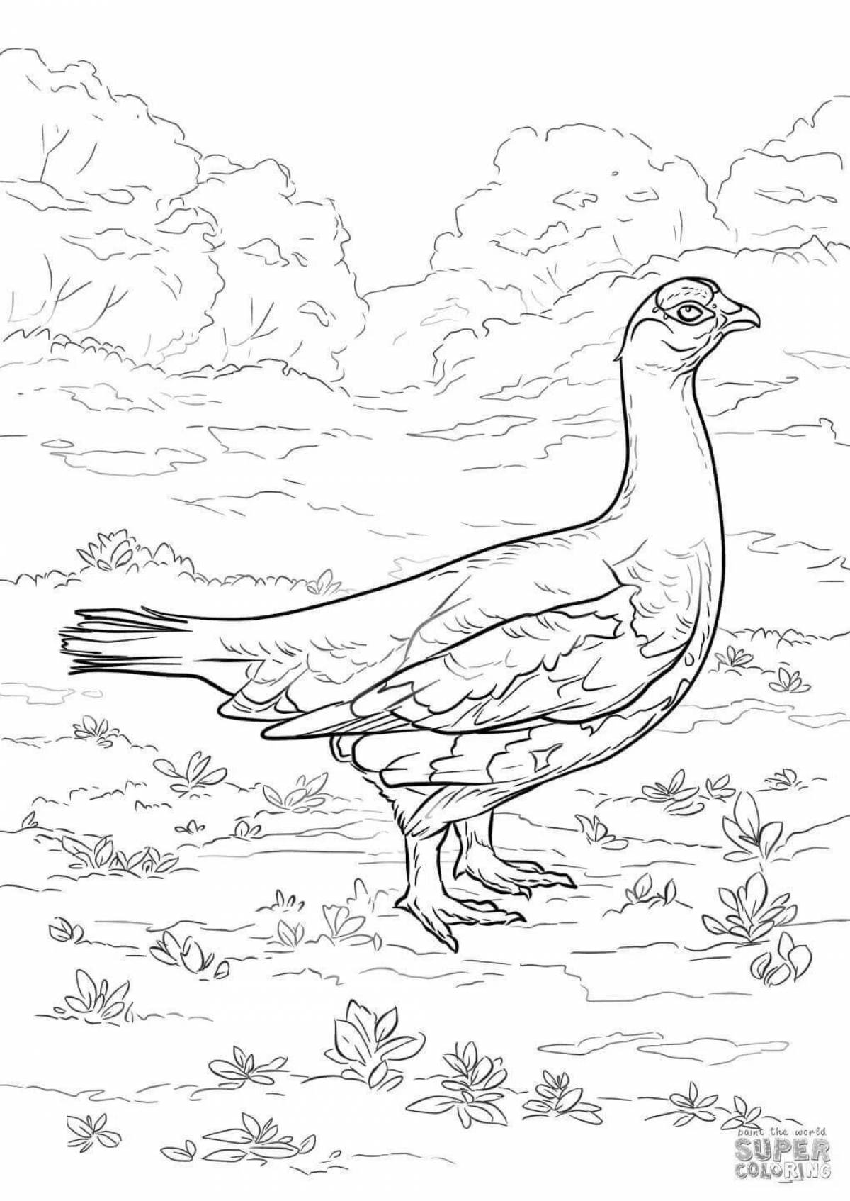Adorable grouse coloring book for kids