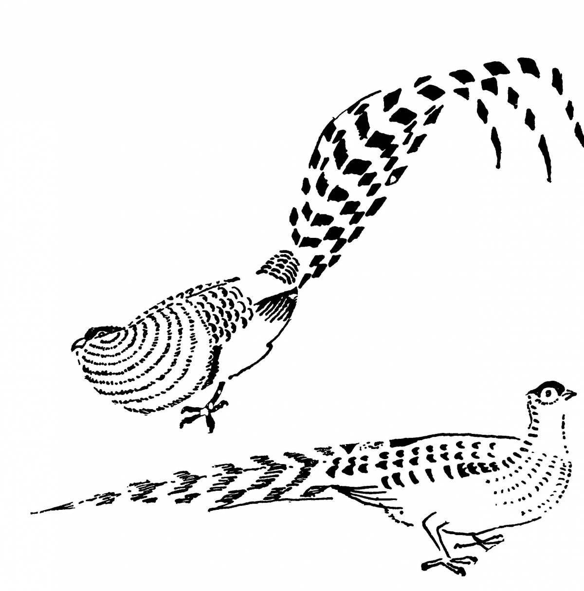 Fairy grouse coloring page for kids