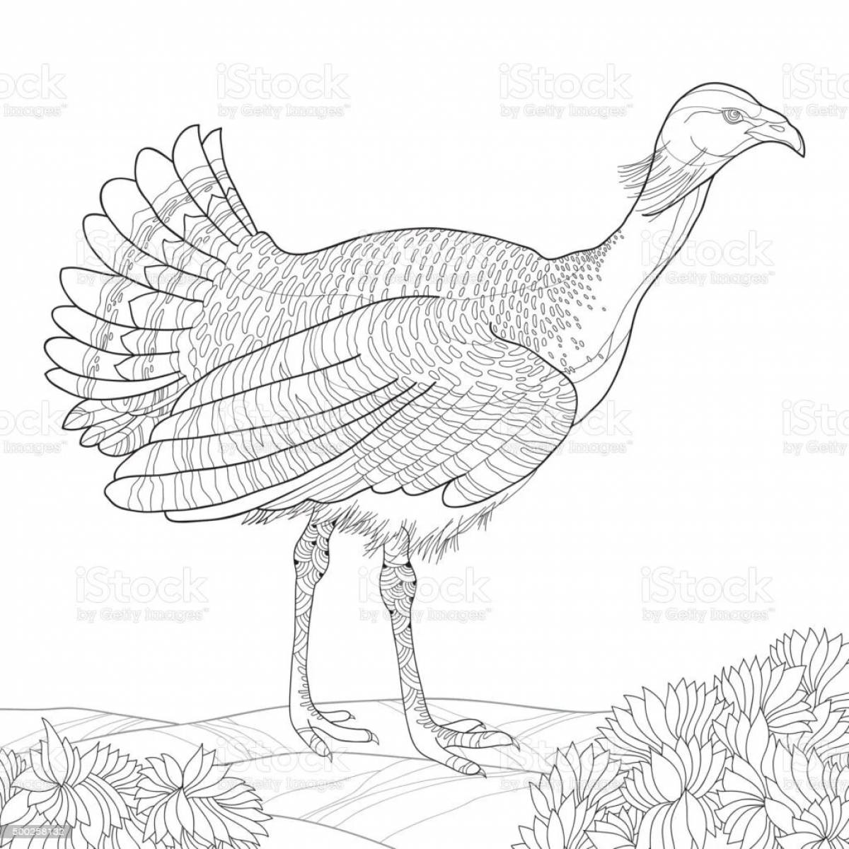 Outstanding black grouse coloring page for kids