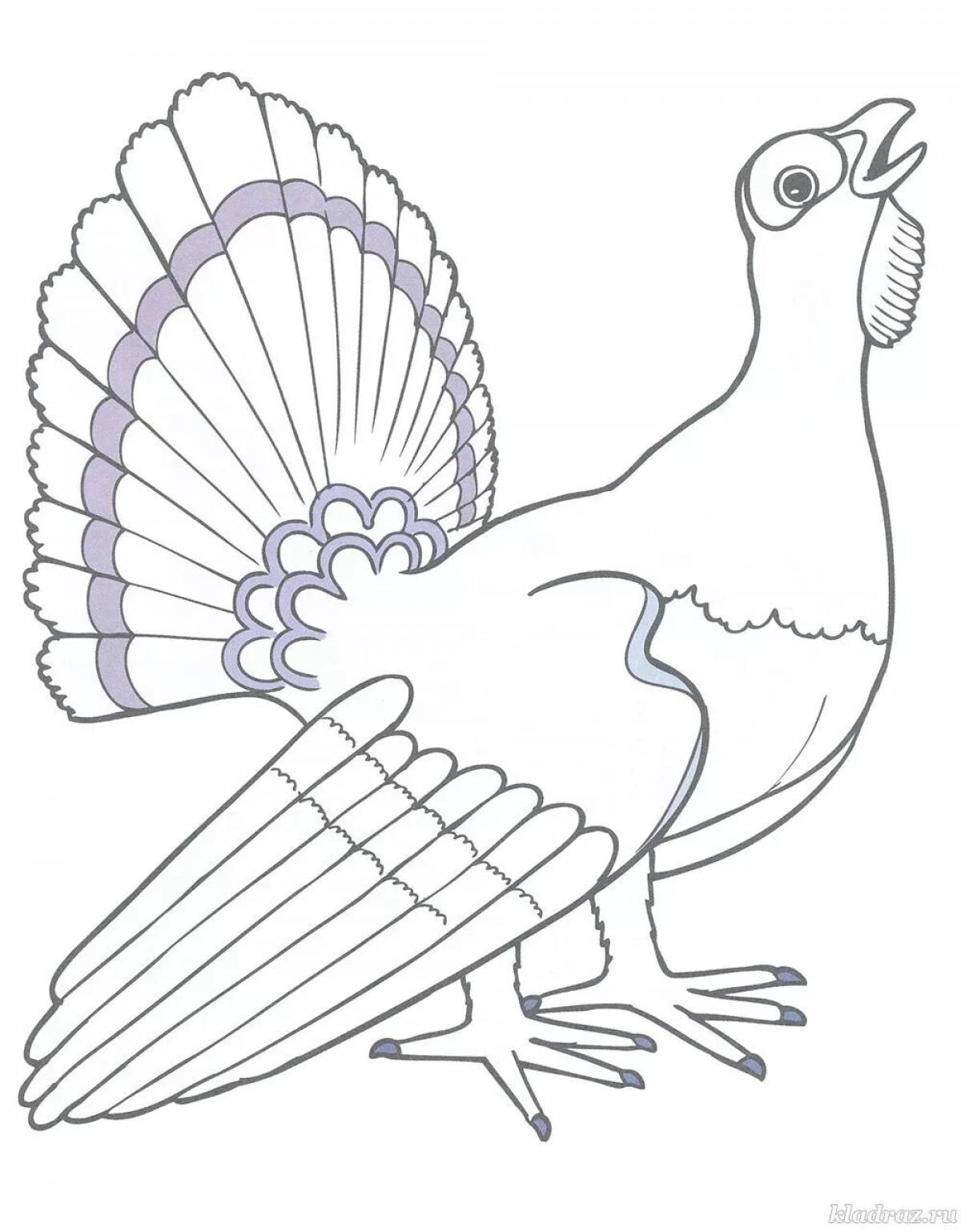 Unusual black grouse coloring pages for kids