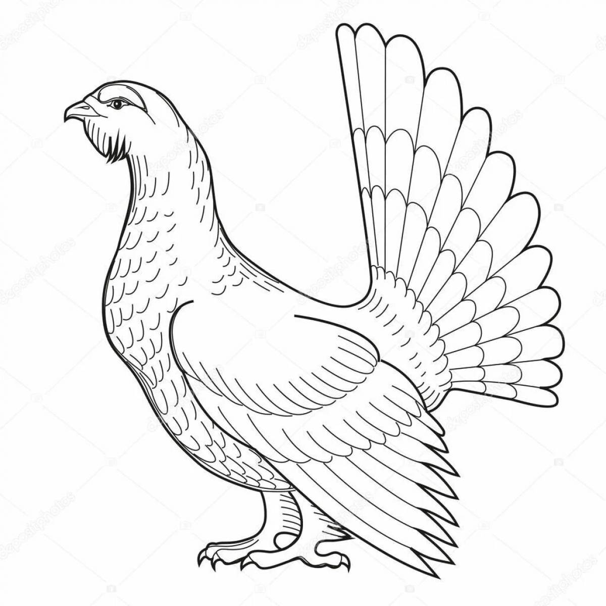 Exclusive black grouse coloring page for kids