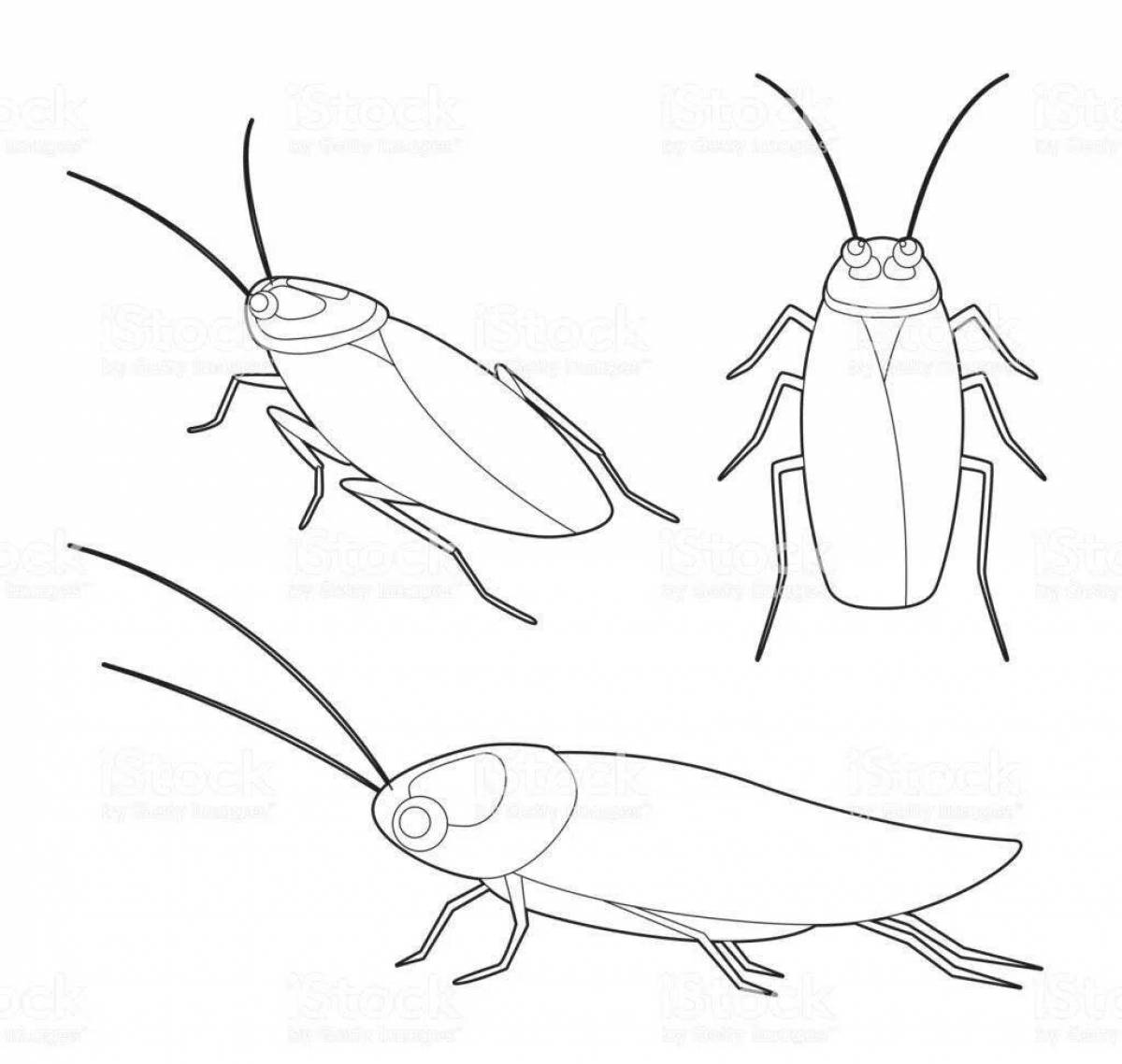 Fun cockroach coloring for kids