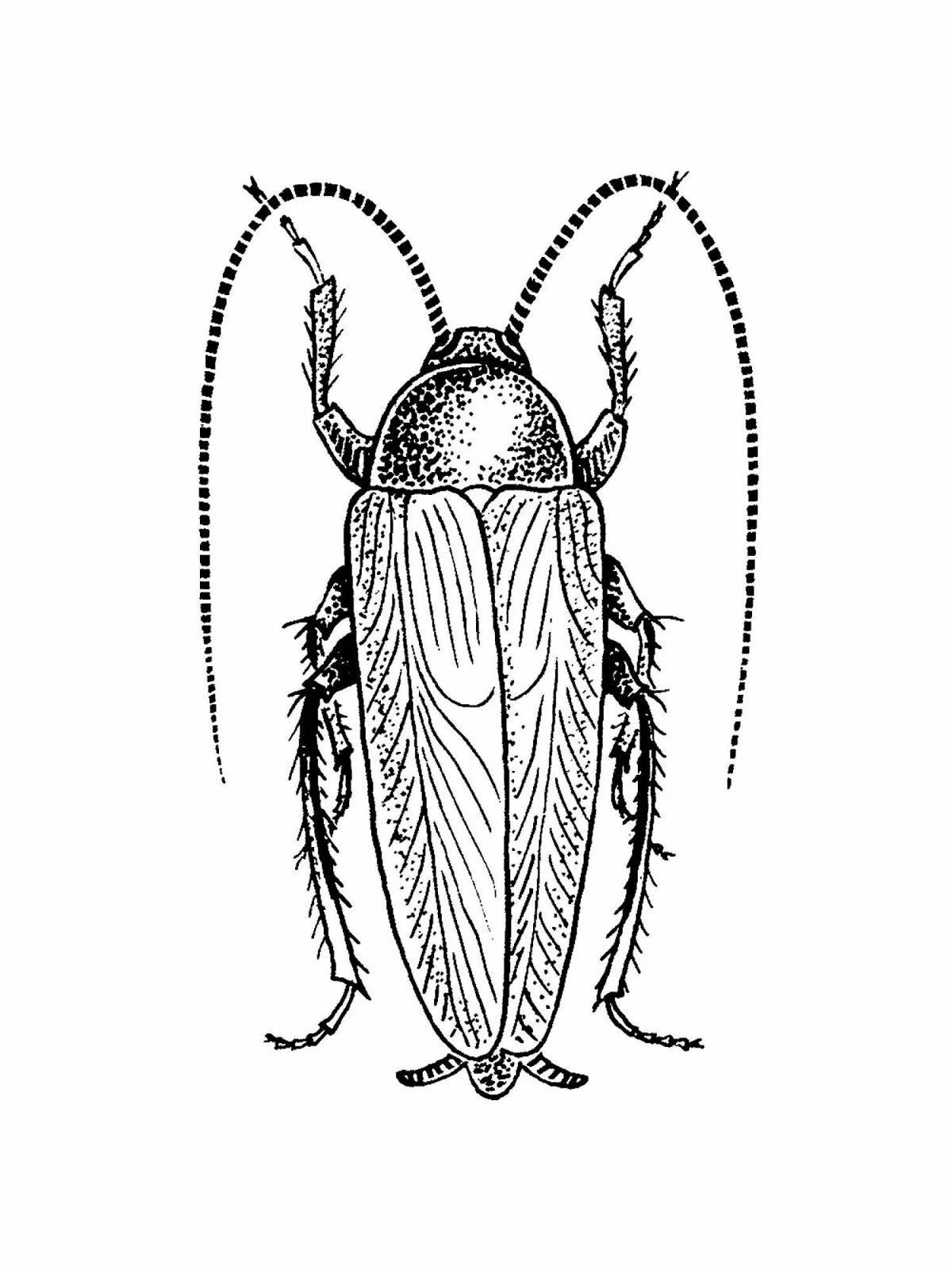 Таракан рисунок Изображения – скачать бесплатно на Freepik