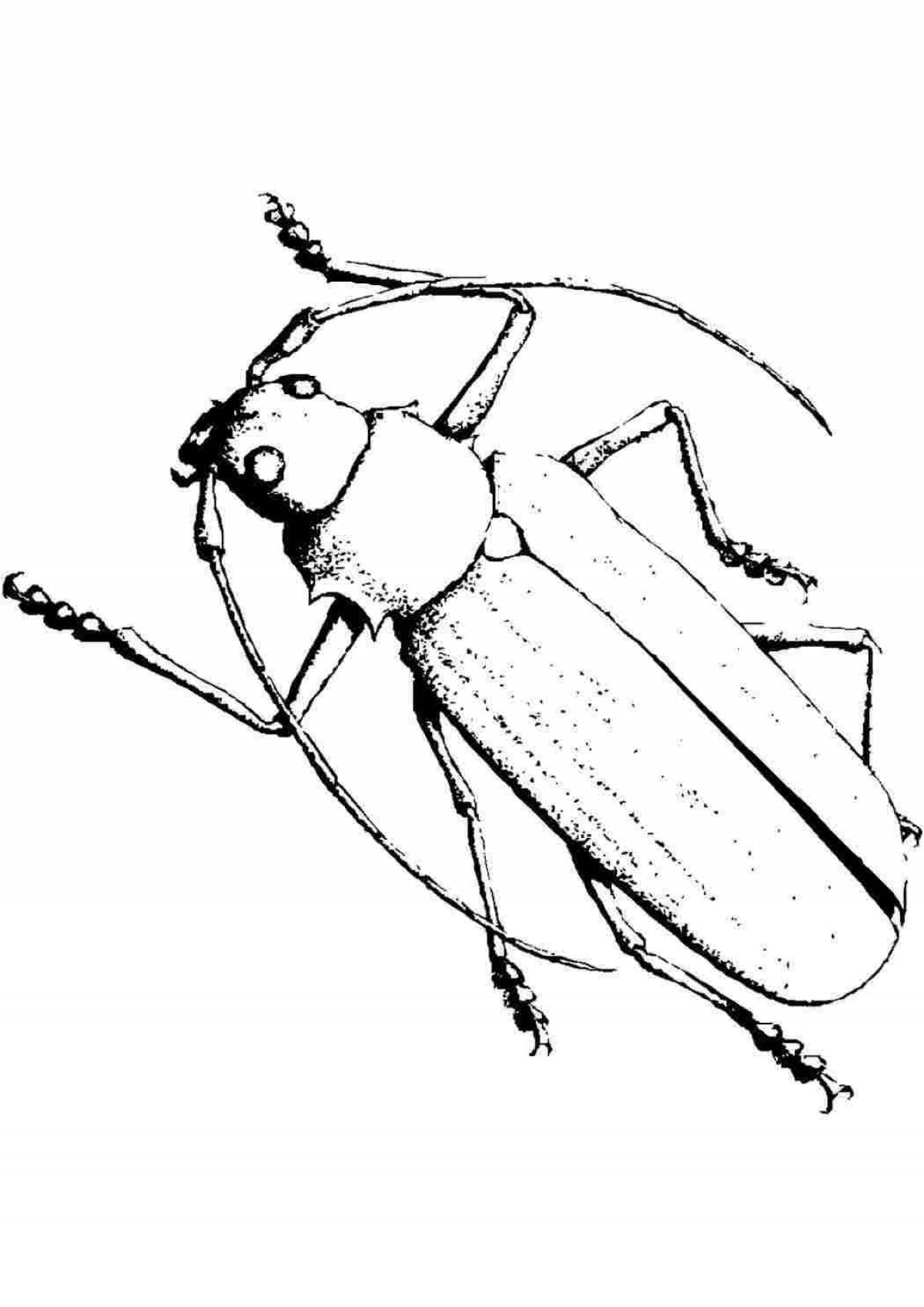 Gorgeous cockroach coloring book for kids
