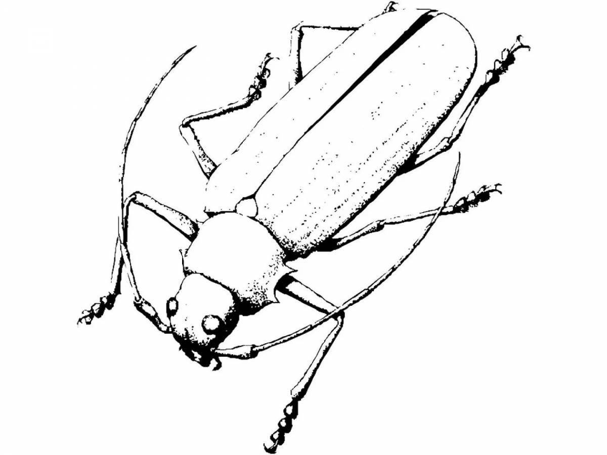 Amazing cockroach coloring pages for kids