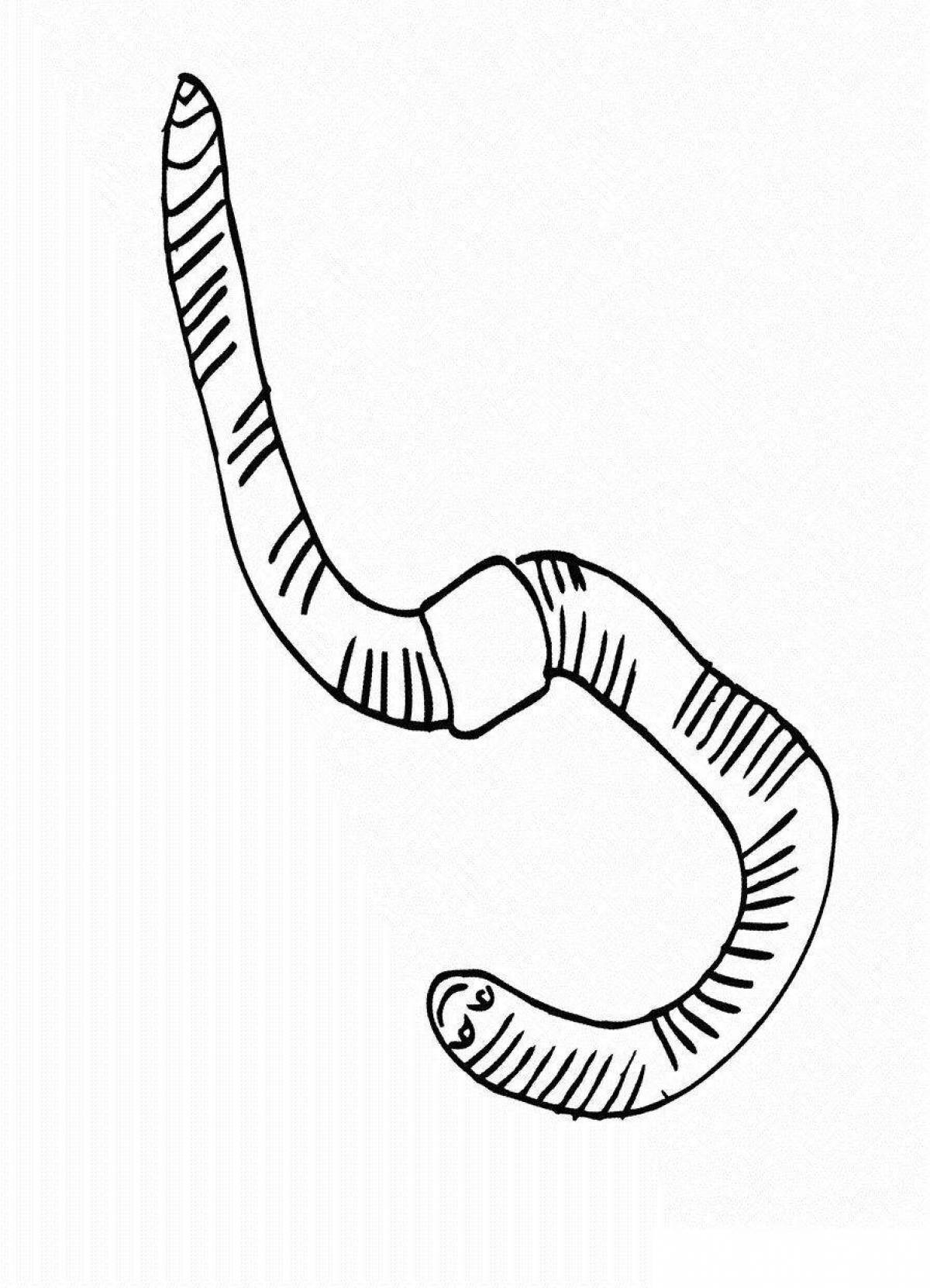 Дождевой червь рисунок. Дождевой червь раскраска. Раскраска Земляной червь. Червяк раскраска. Червячок раскраска для детей.