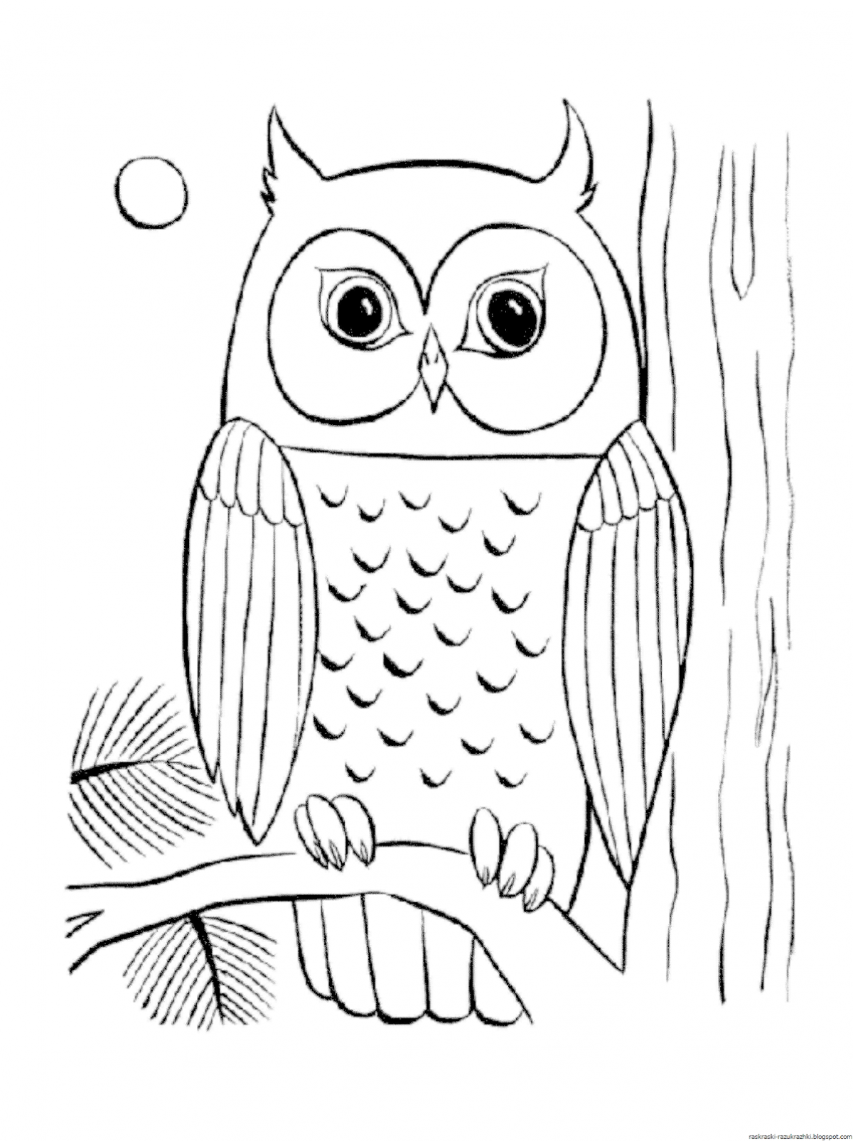 Owl for babies #2