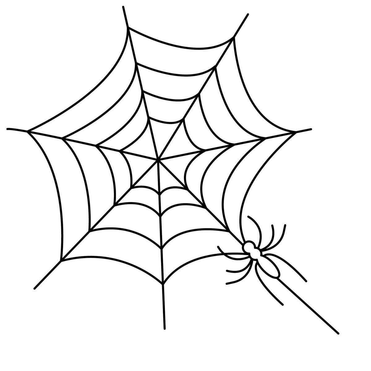 Detailed coloring web for children