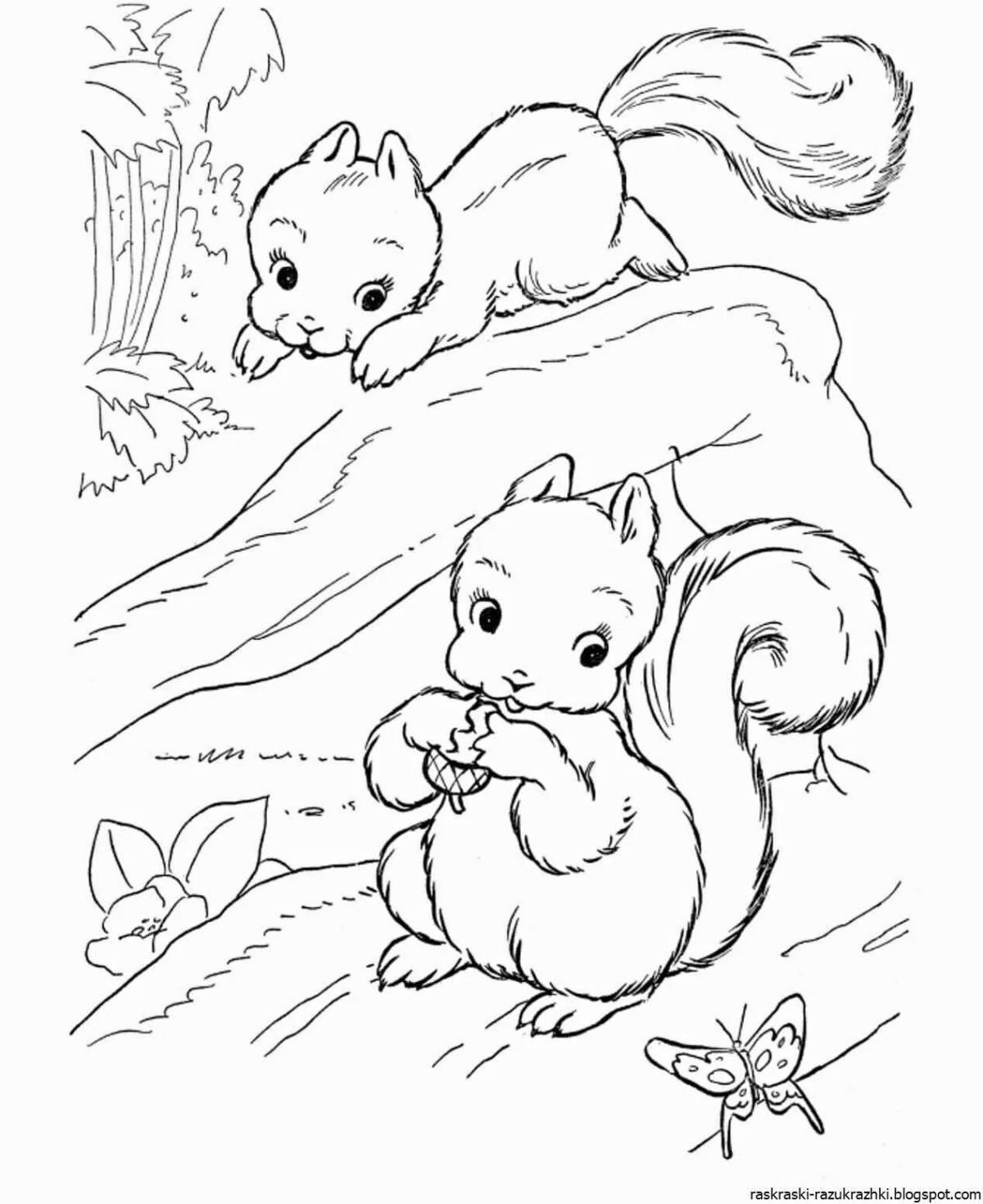Naughty squirrel coloring for kids