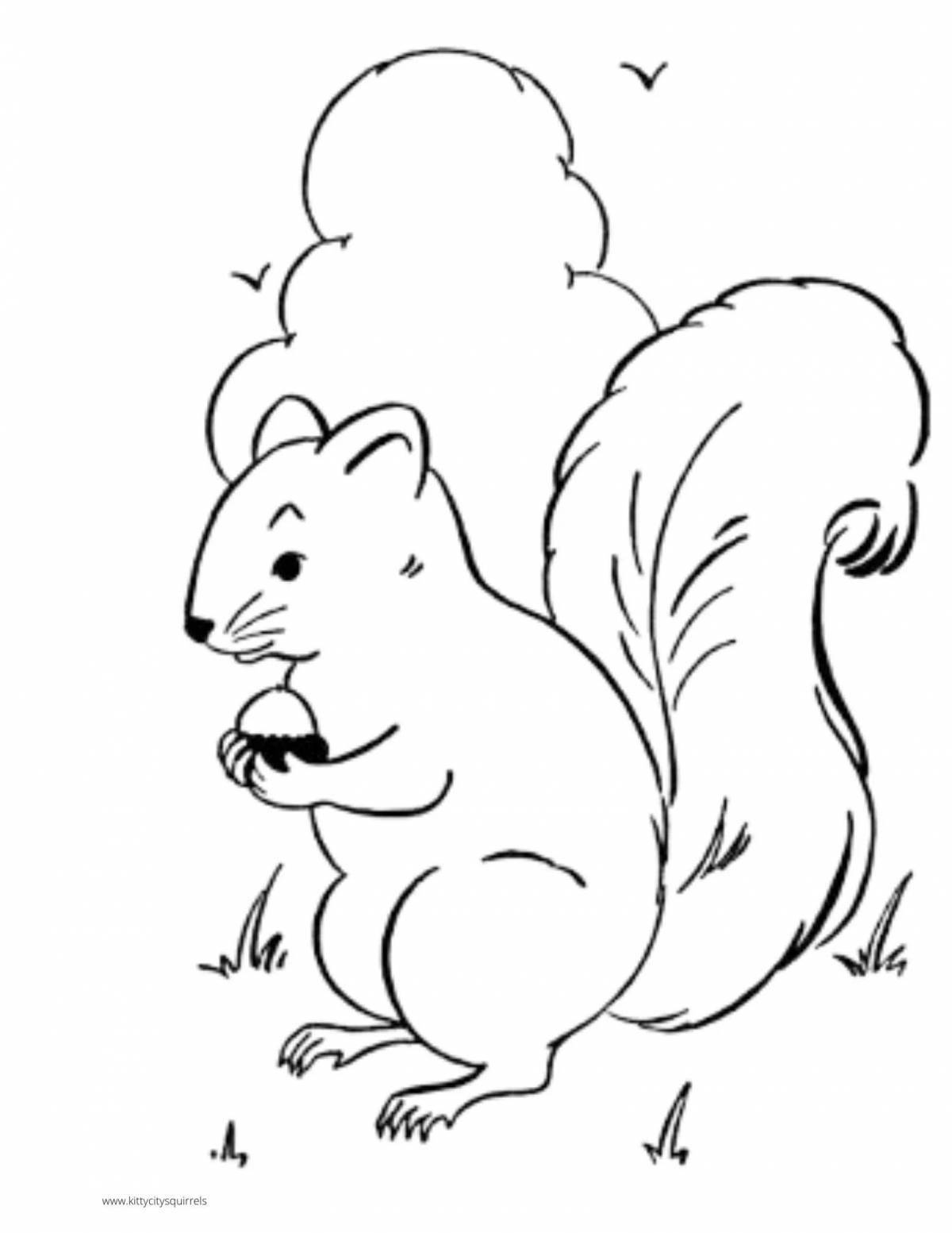 Animated squirrel coloring book for kids
