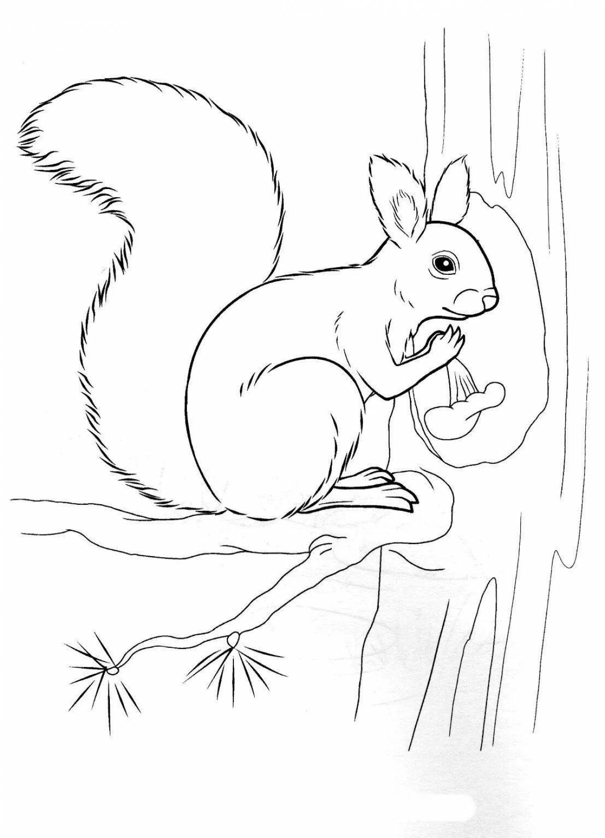 Outstanding squirrel coloring book for kids