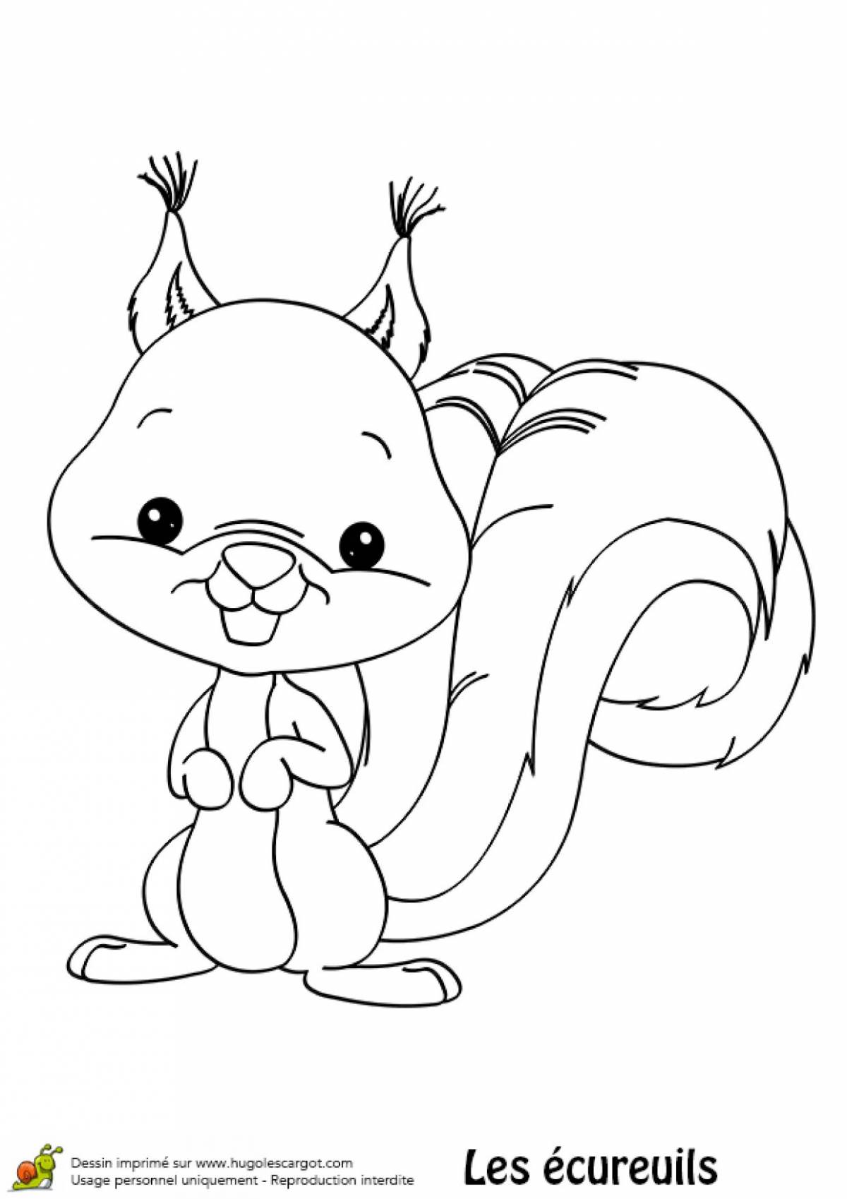 Amazing squirrel coloring book for kids