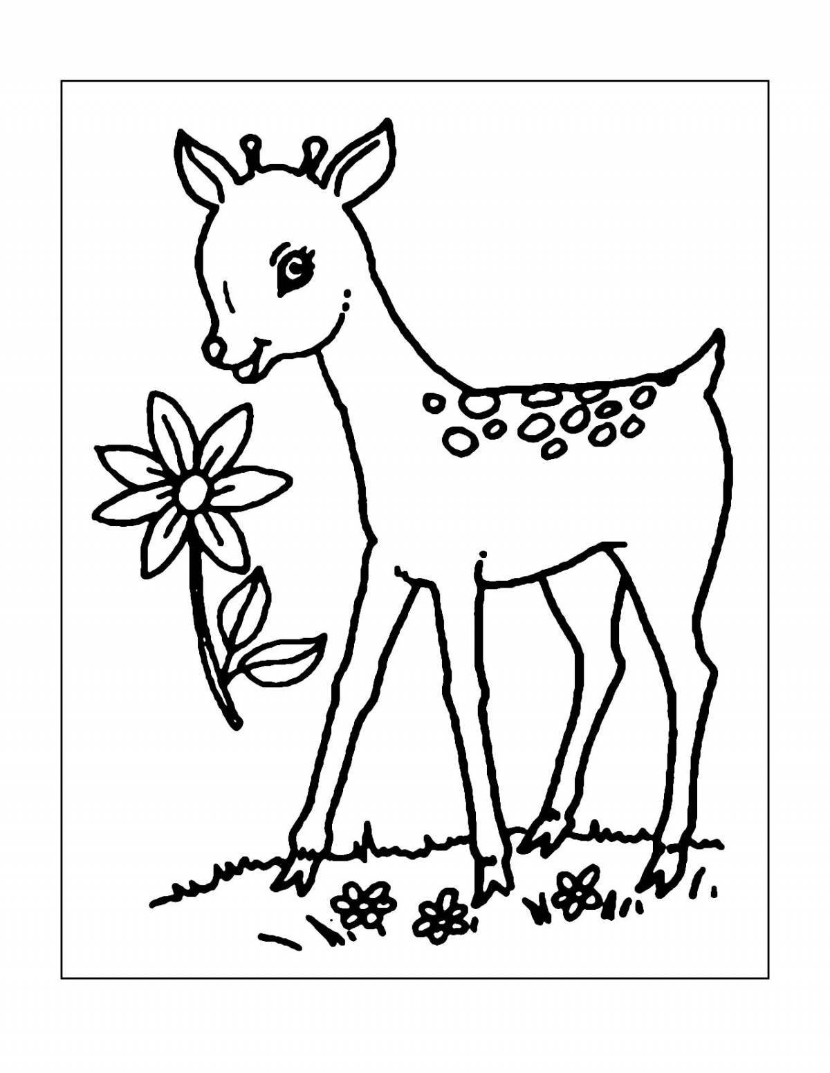 Coloring roe deer for kids