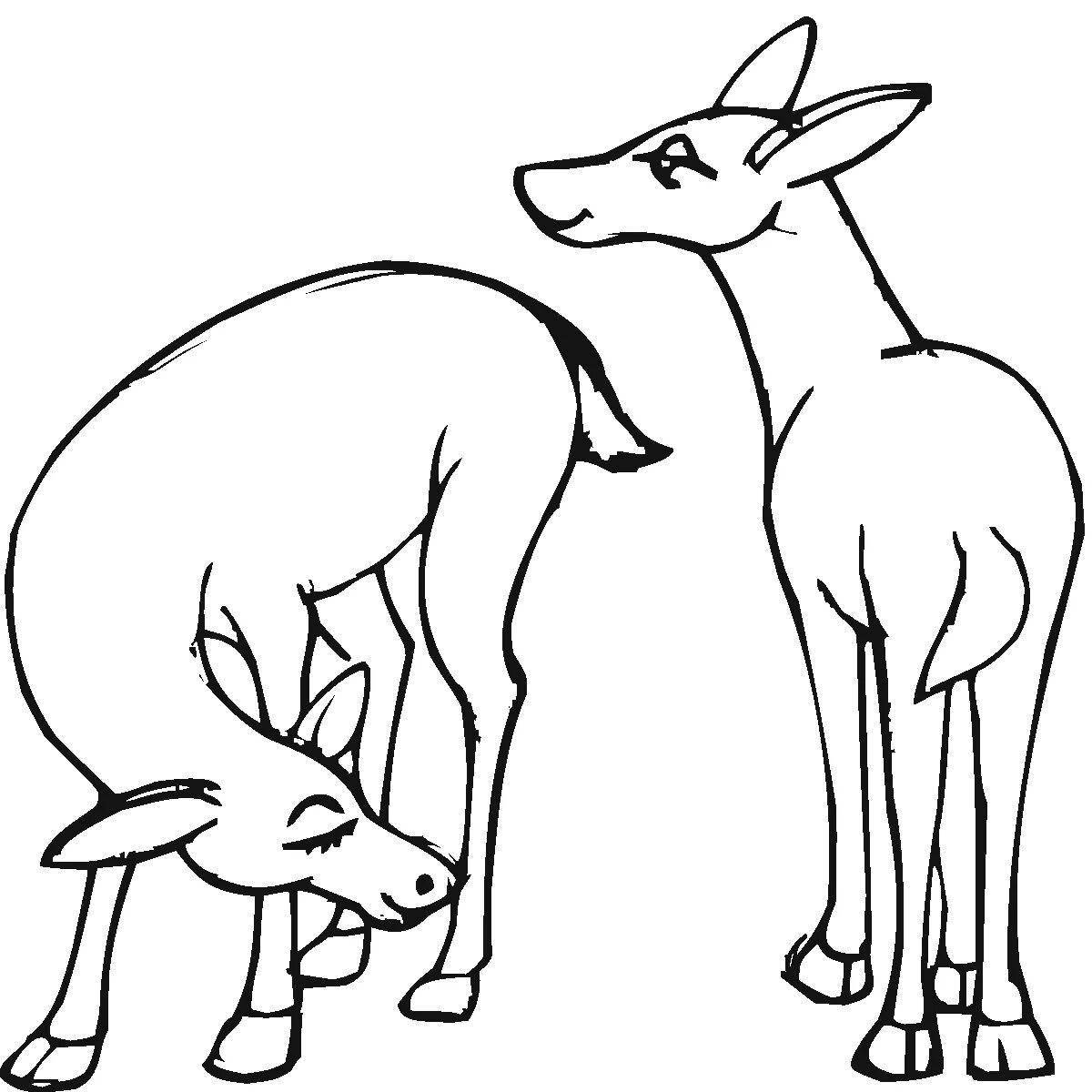Joyful roe deer coloring for kids
