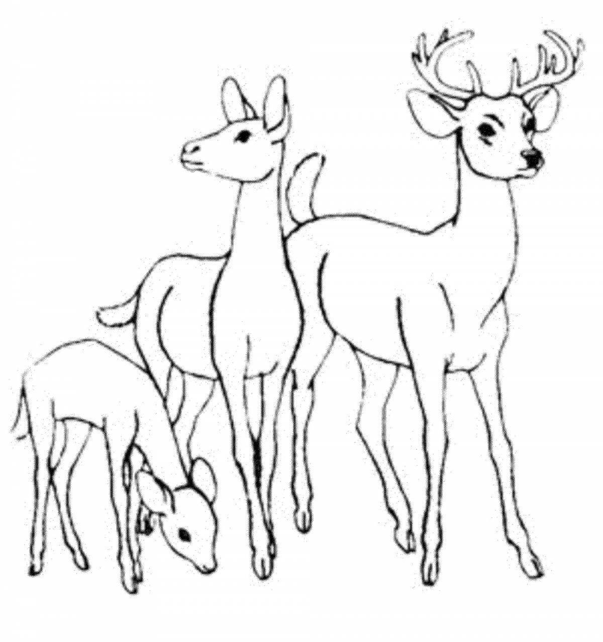 Coloring cute roe deer for kids
