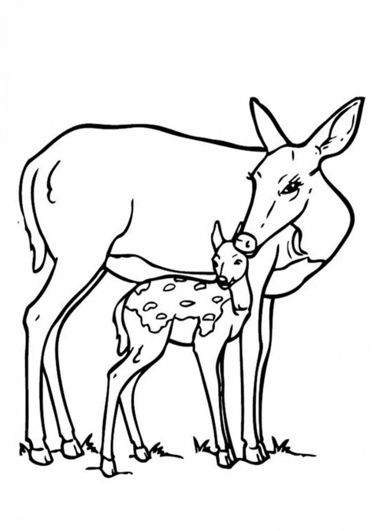 Adorable roe deer coloring book for little ones