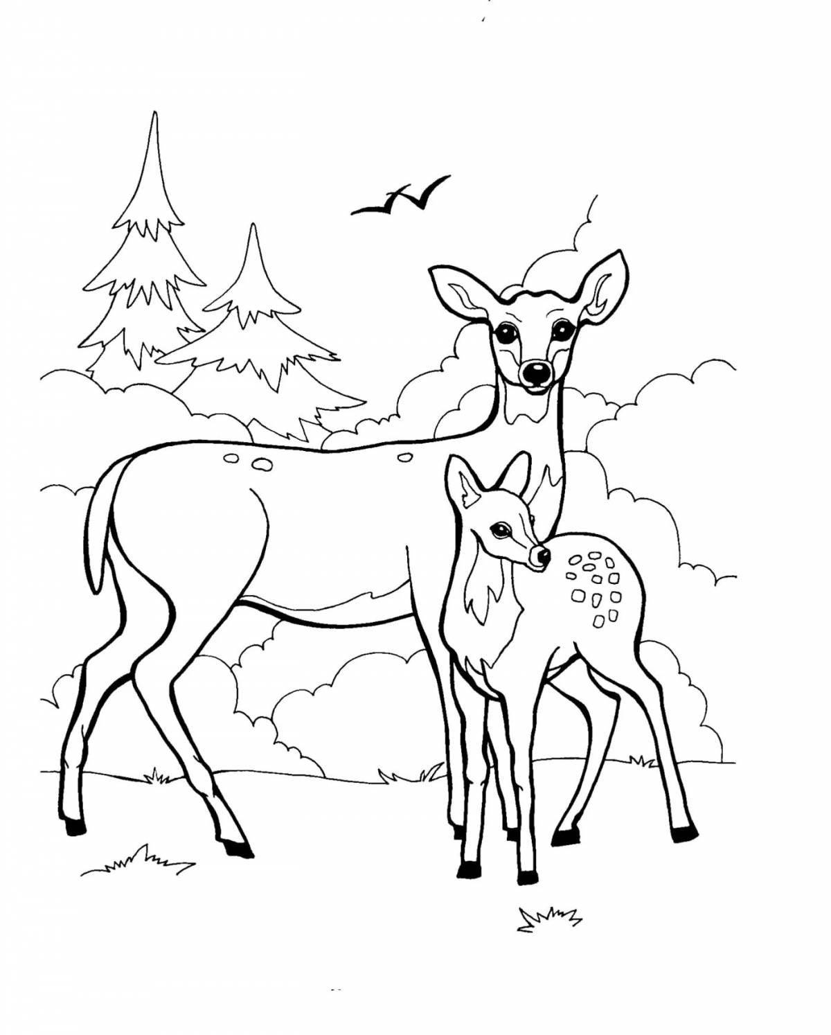 Glowing roe deer coloring book for kids