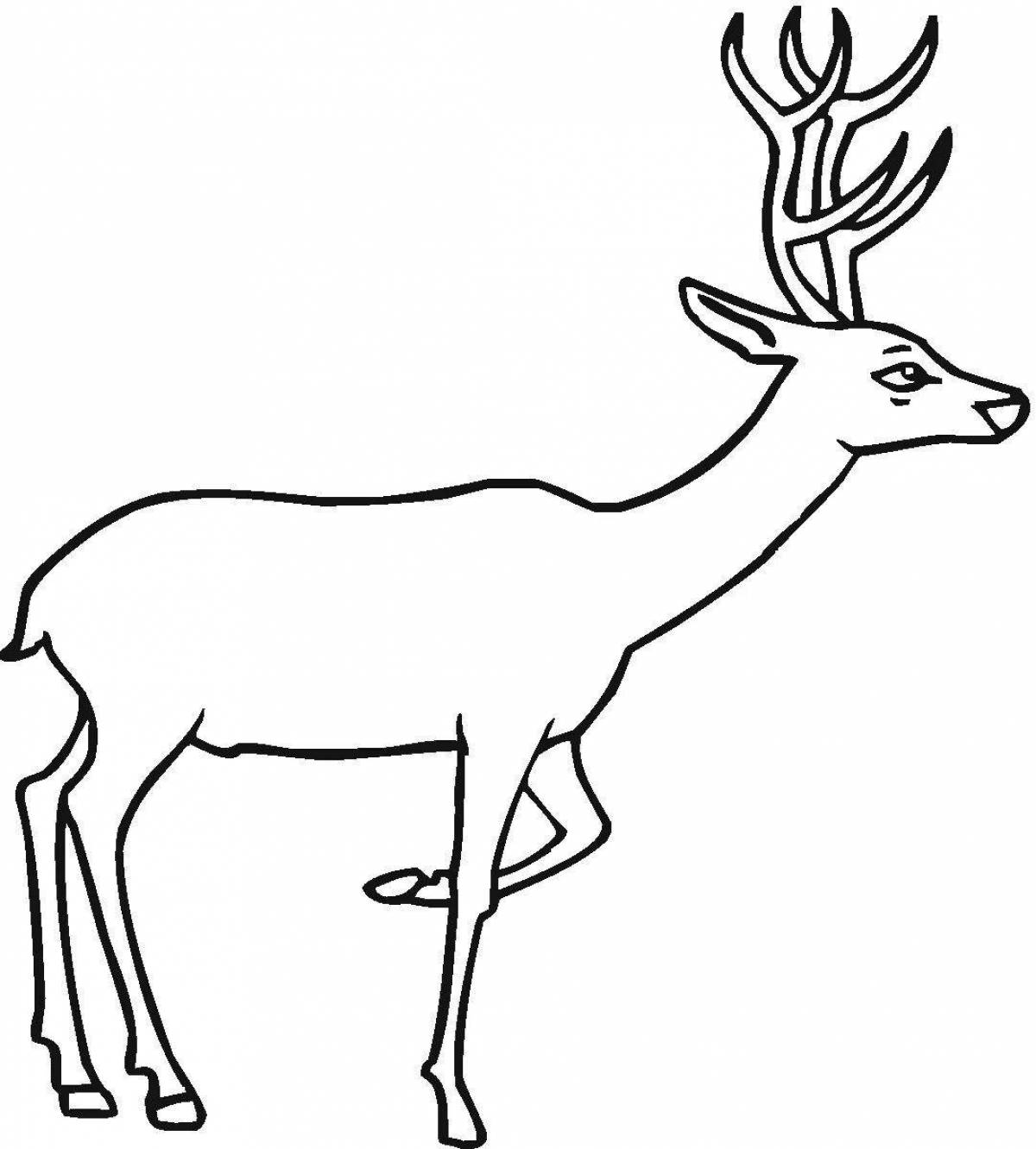 Living roe deer coloring book for kids