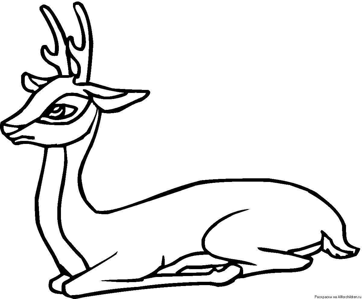 Amazing roe deer coloring pages for kids