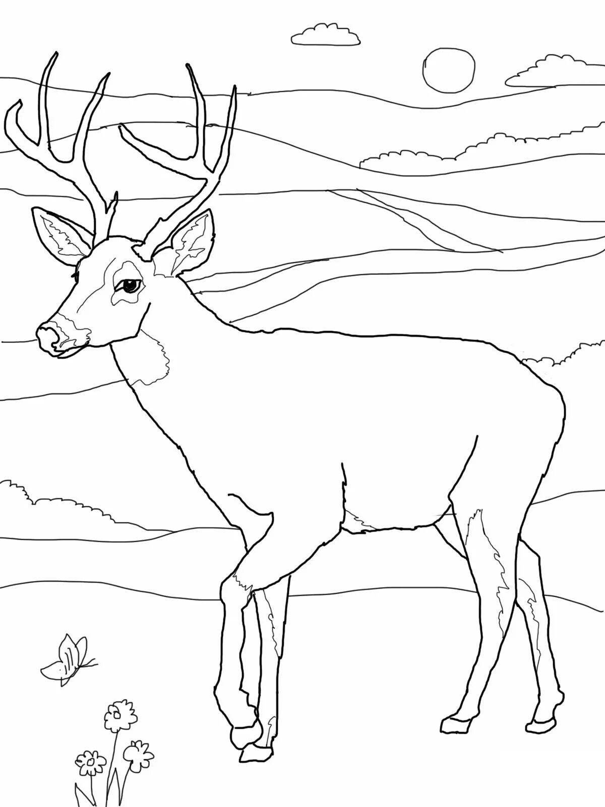 Blissful roe deer coloring book for kids