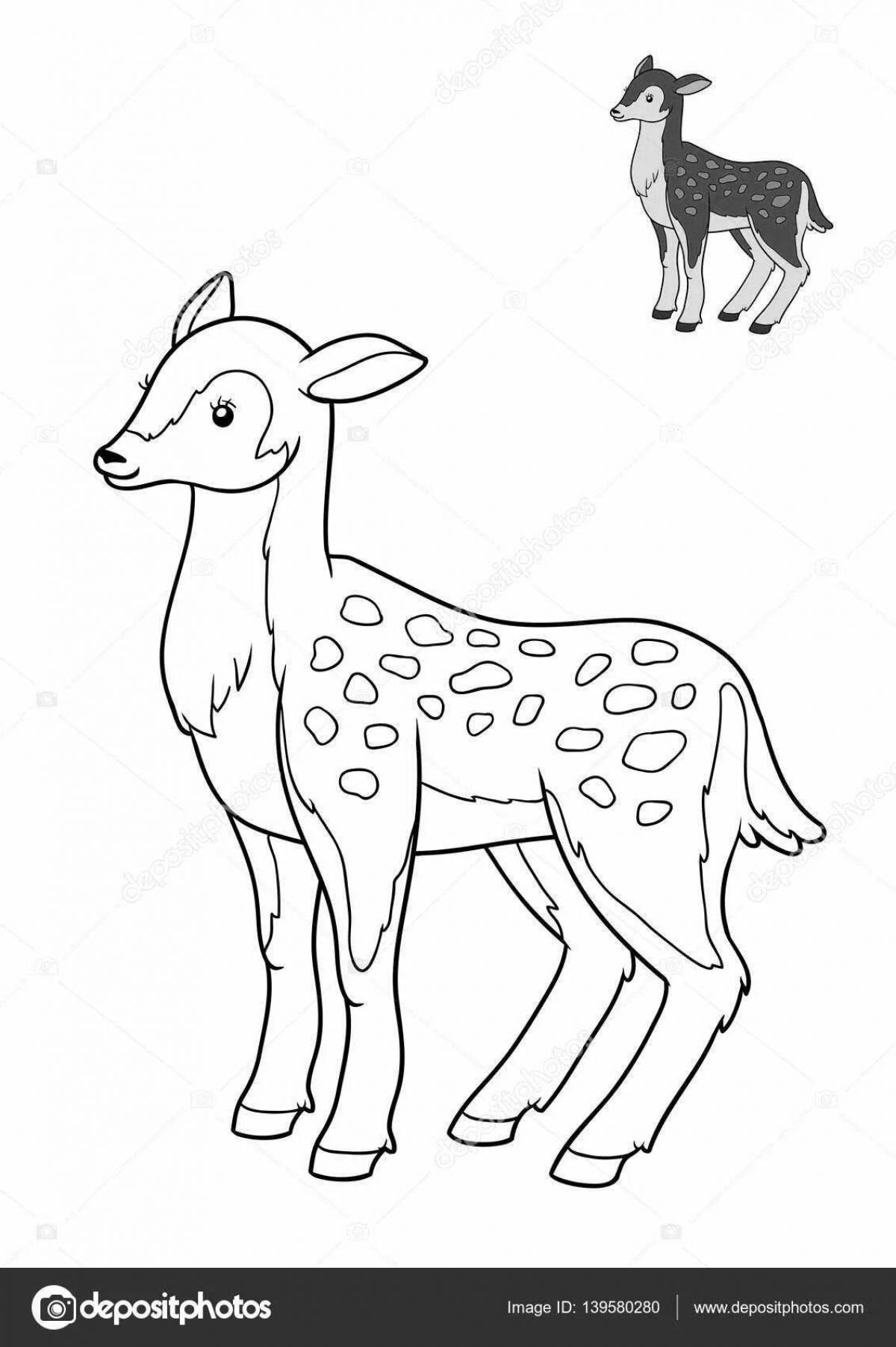 Exciting roe deer coloring book for kids