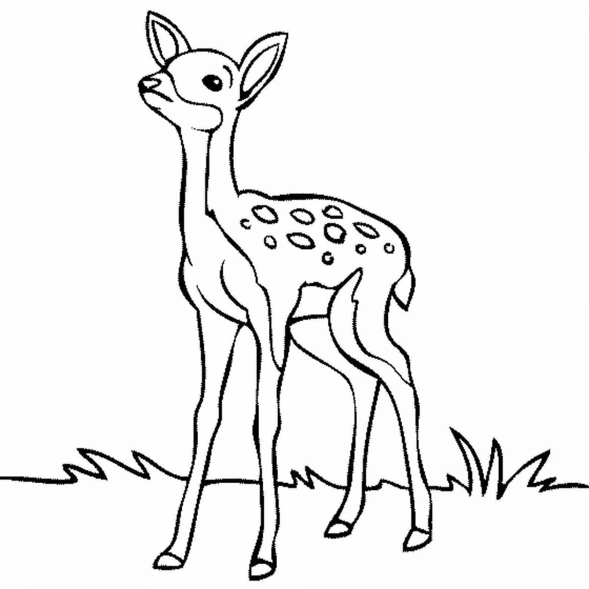 Adorable roe deer coloring pages for kids