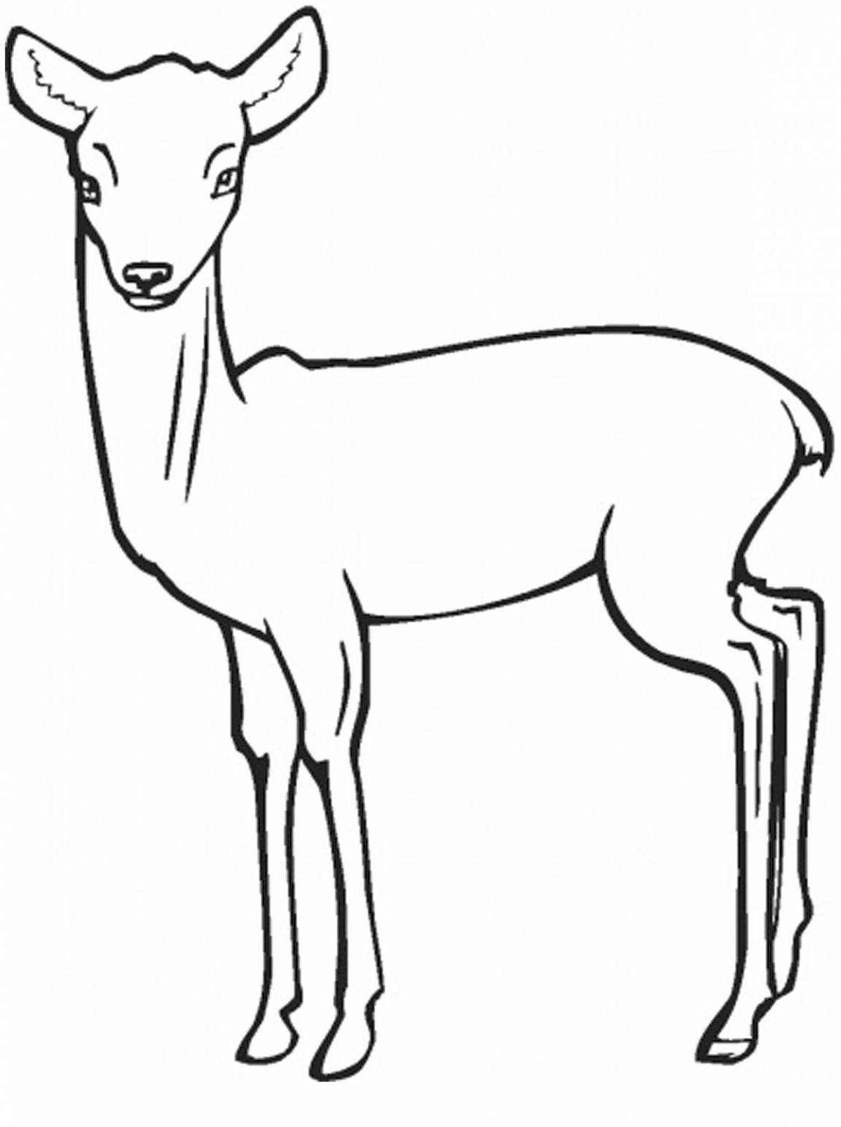 Magic roe deer coloring for the little ones