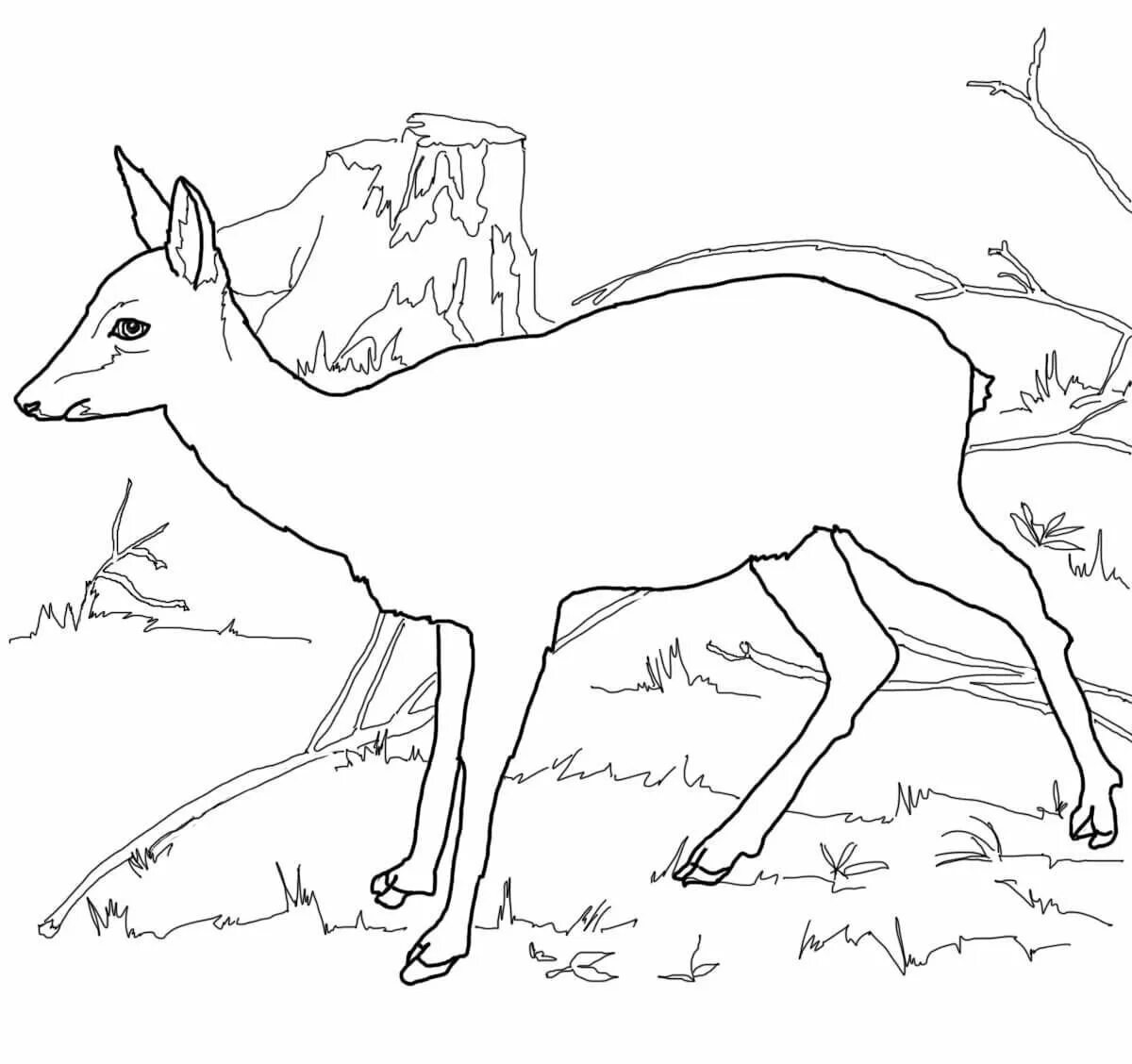 Joyful roe deer coloring book for kids